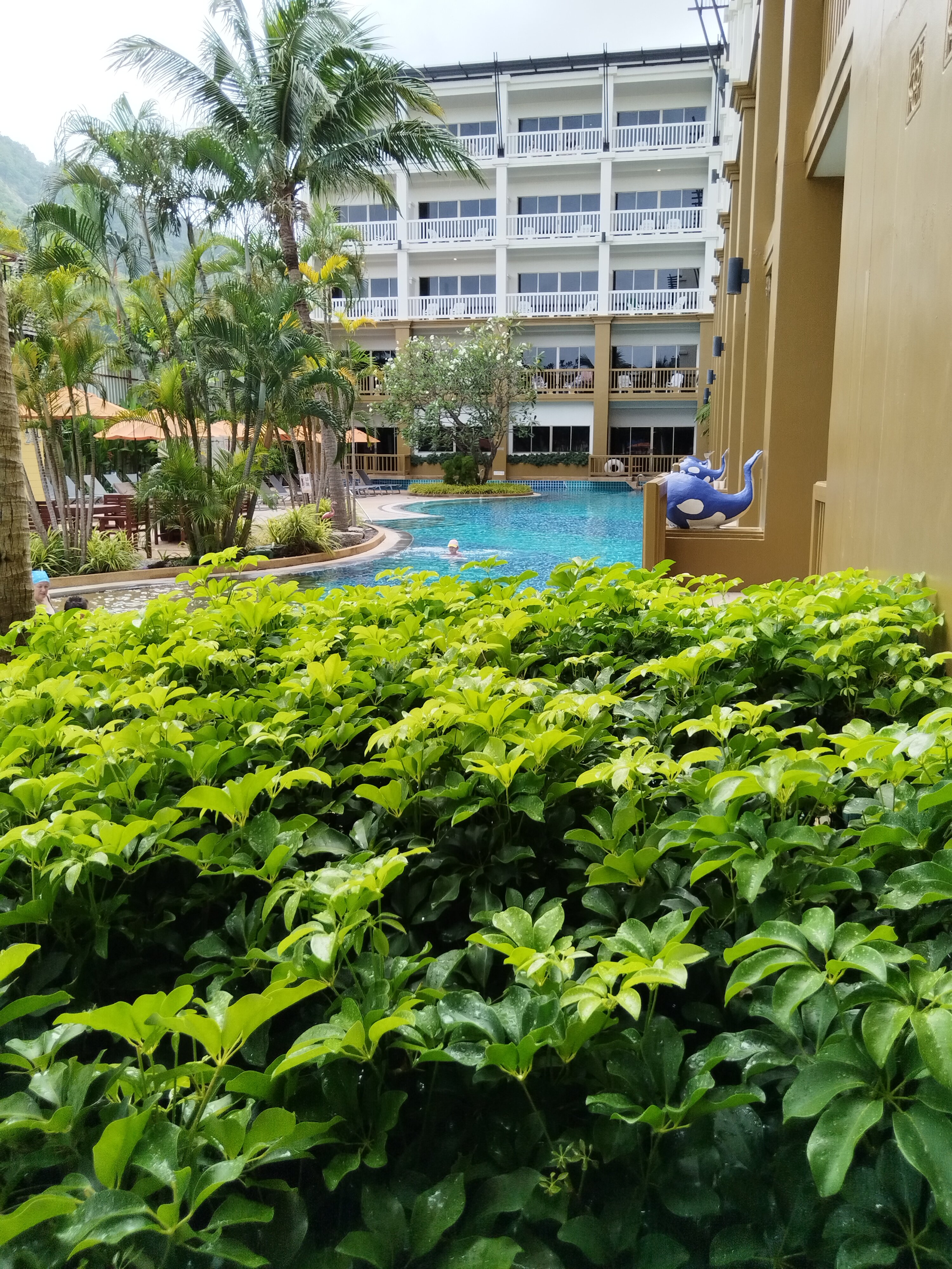 Фото Kata Sea Breeze Resort