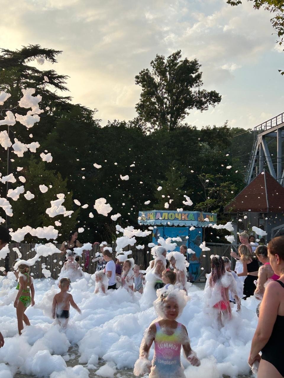 Фото Кипарис