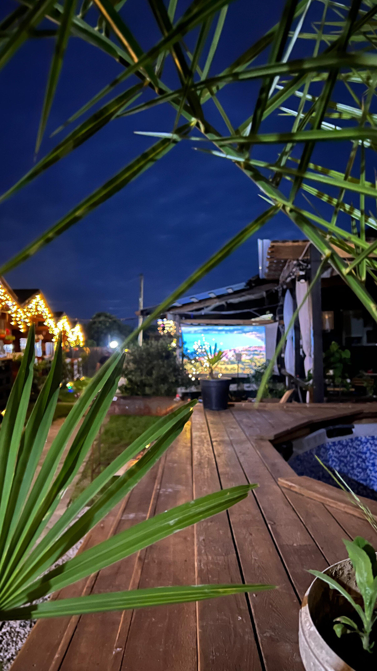 Фото 192517484496