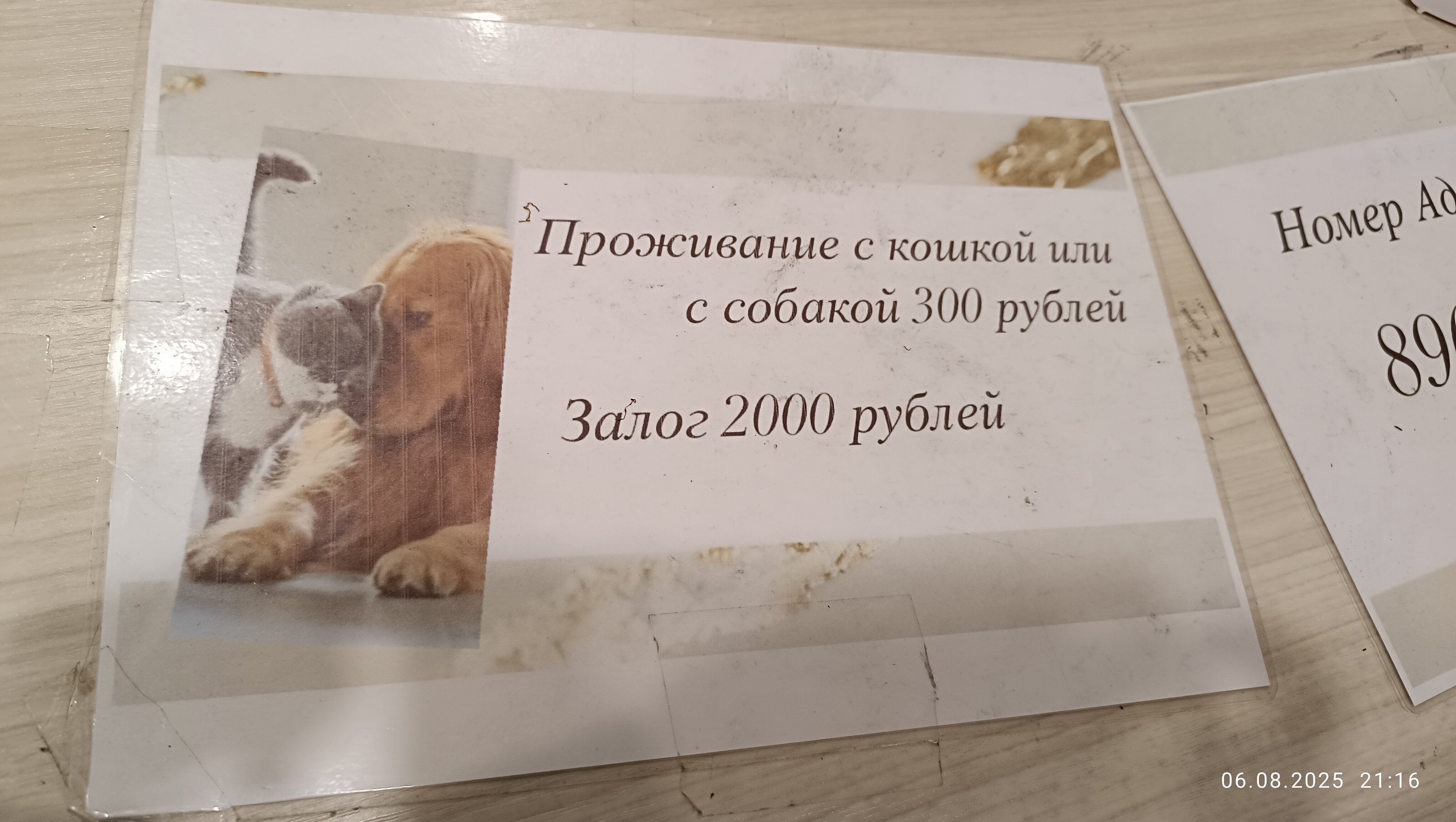 Фото Гостиница Половина