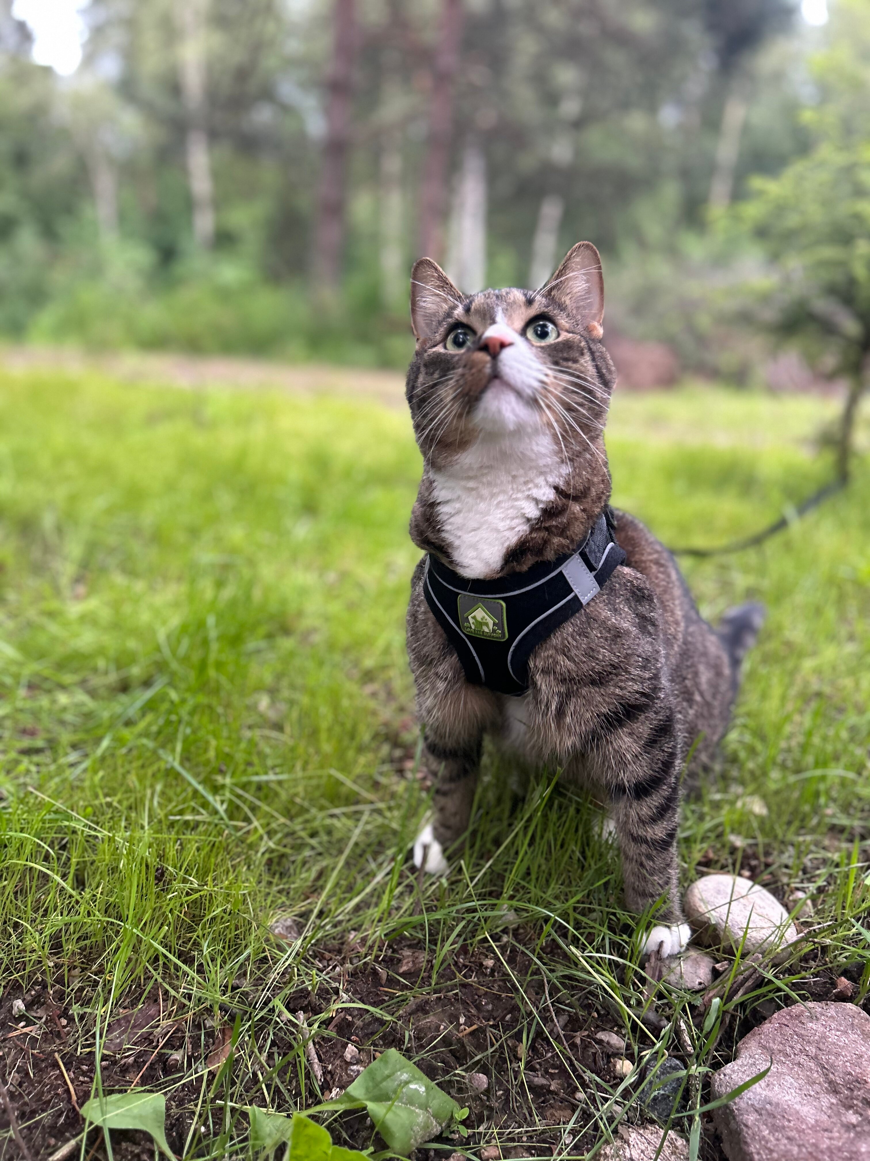 Фото Аскелма