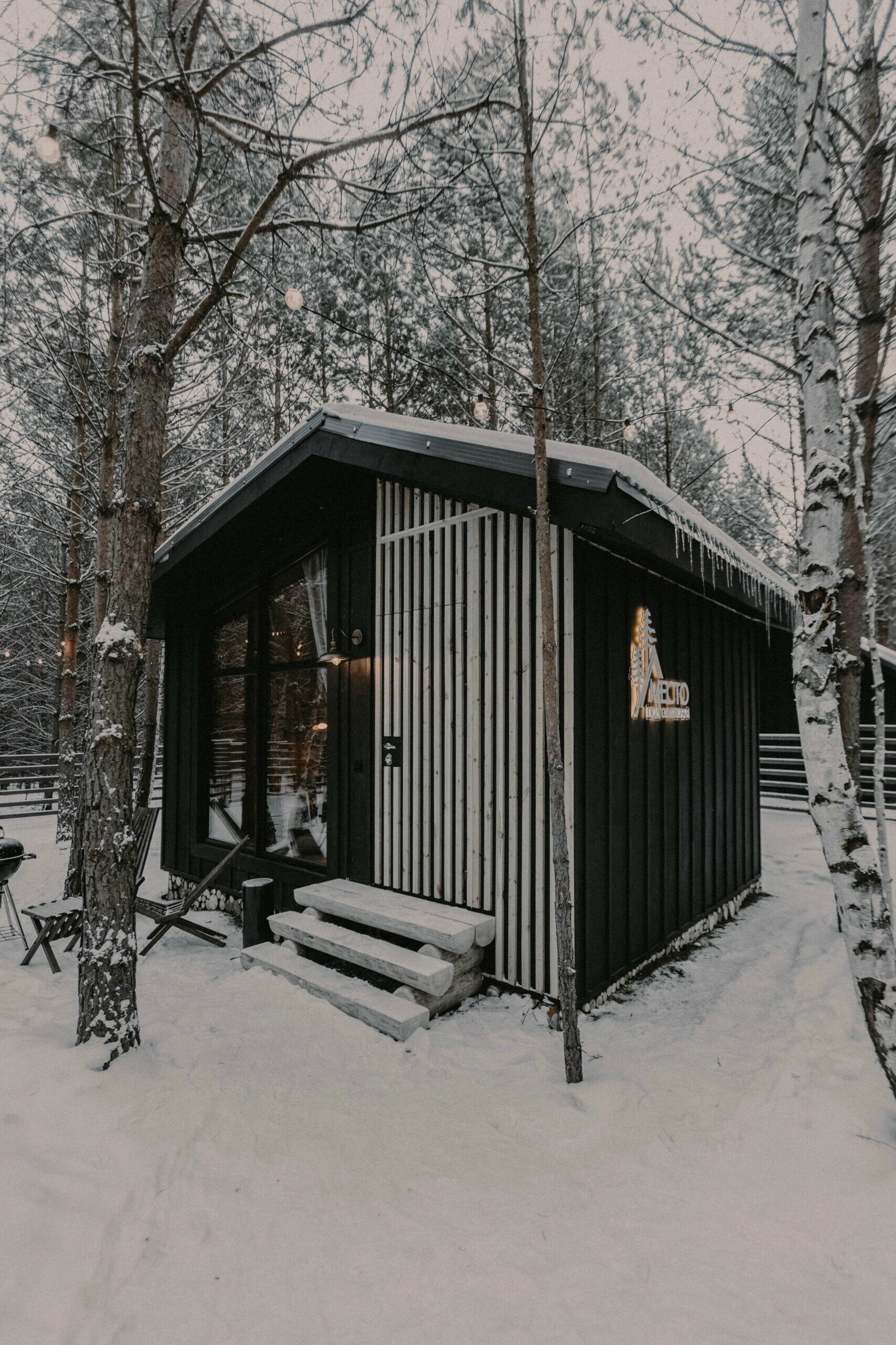 Фото Место под соснами