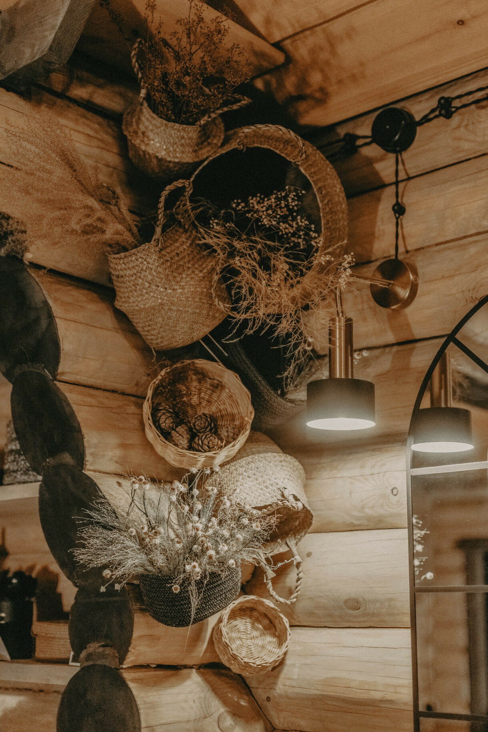 Фото Место под соснами