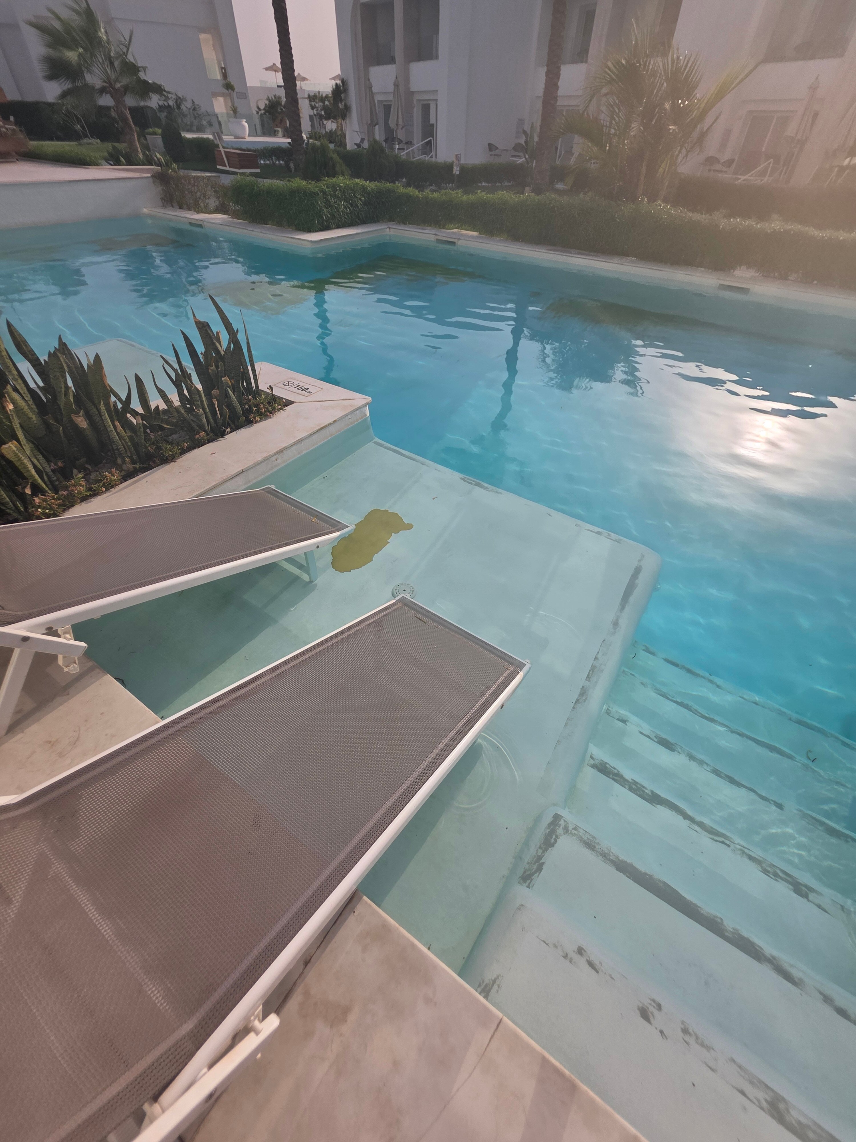 Фото White Hills Resort