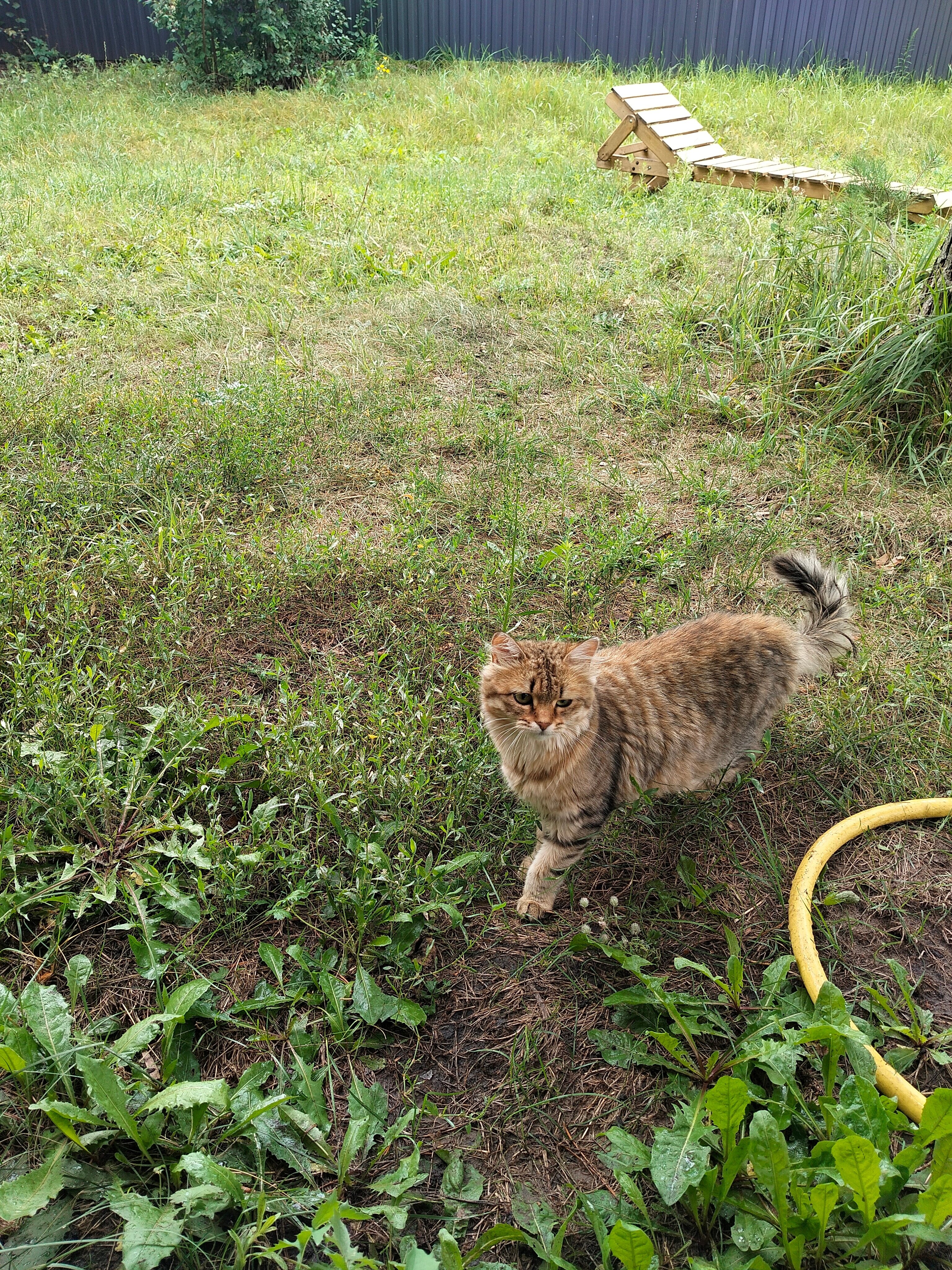 Фото Дом с душой