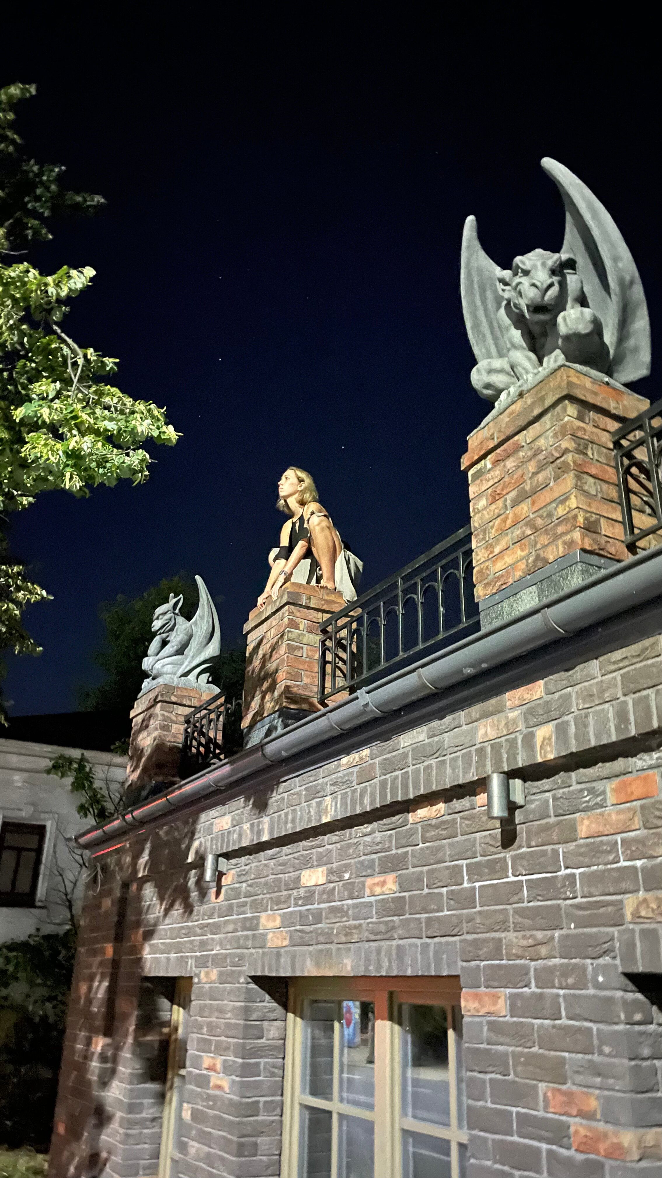 Фото Дом с гаргульями