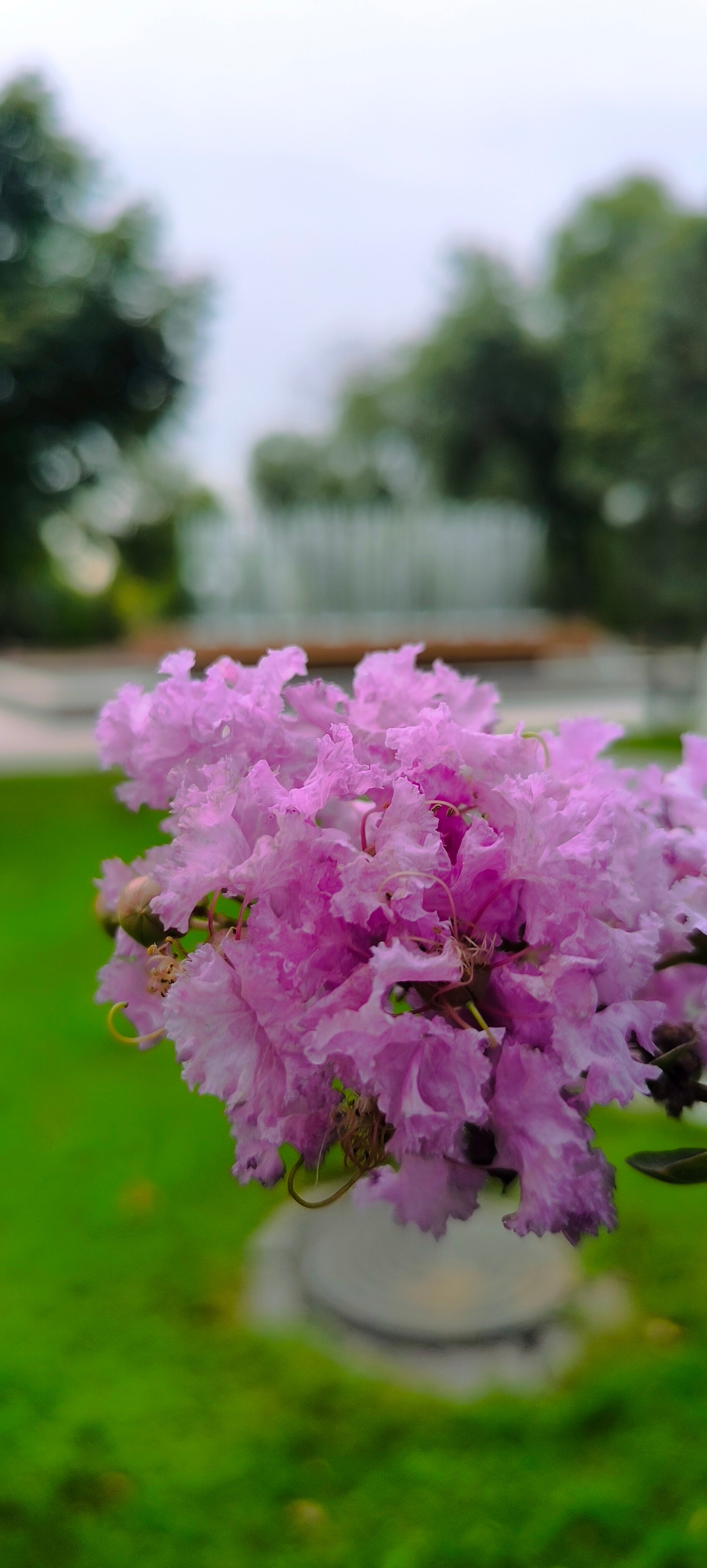 Фото Pakhtakor Athletics Hotel