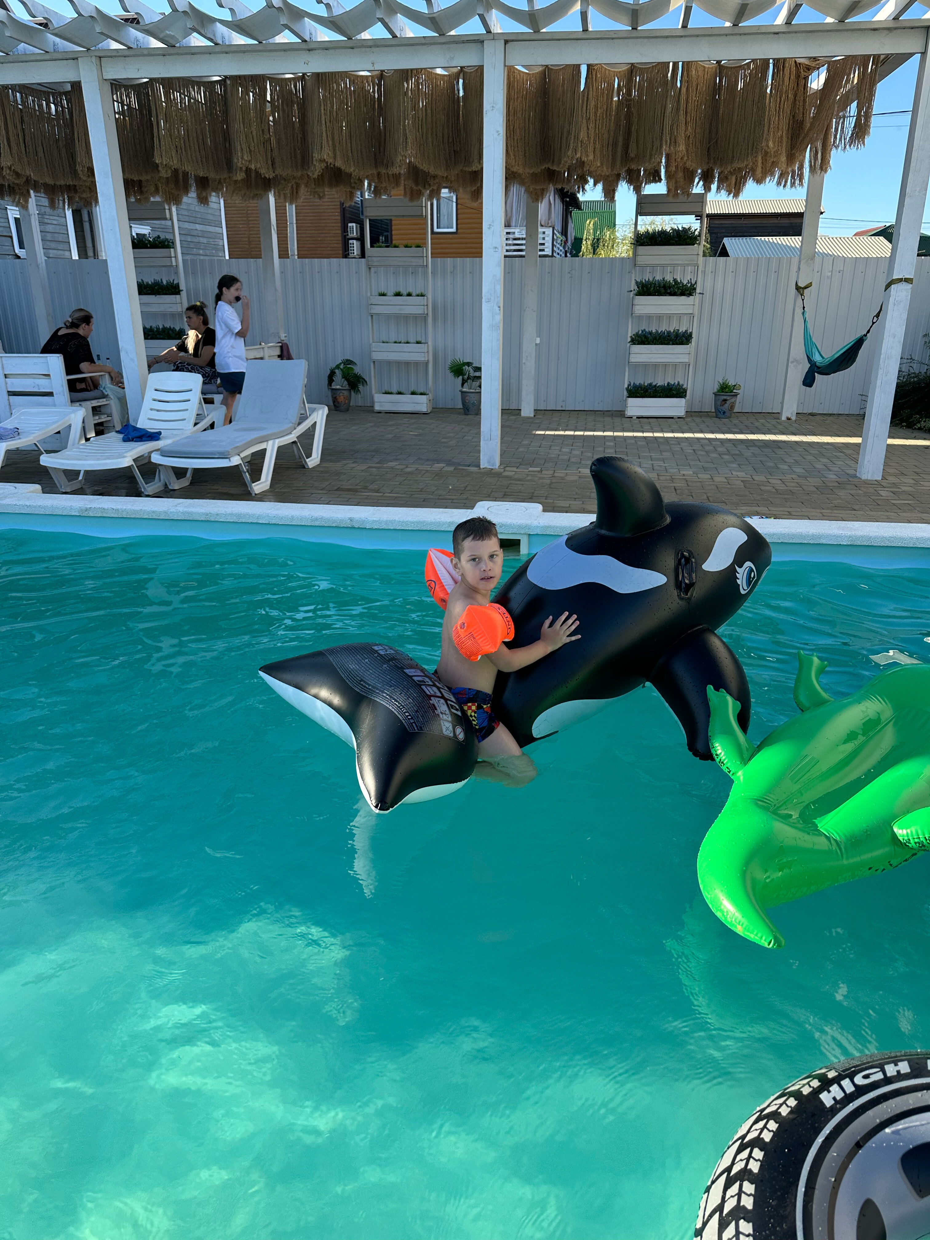 Фото Азовская чайка