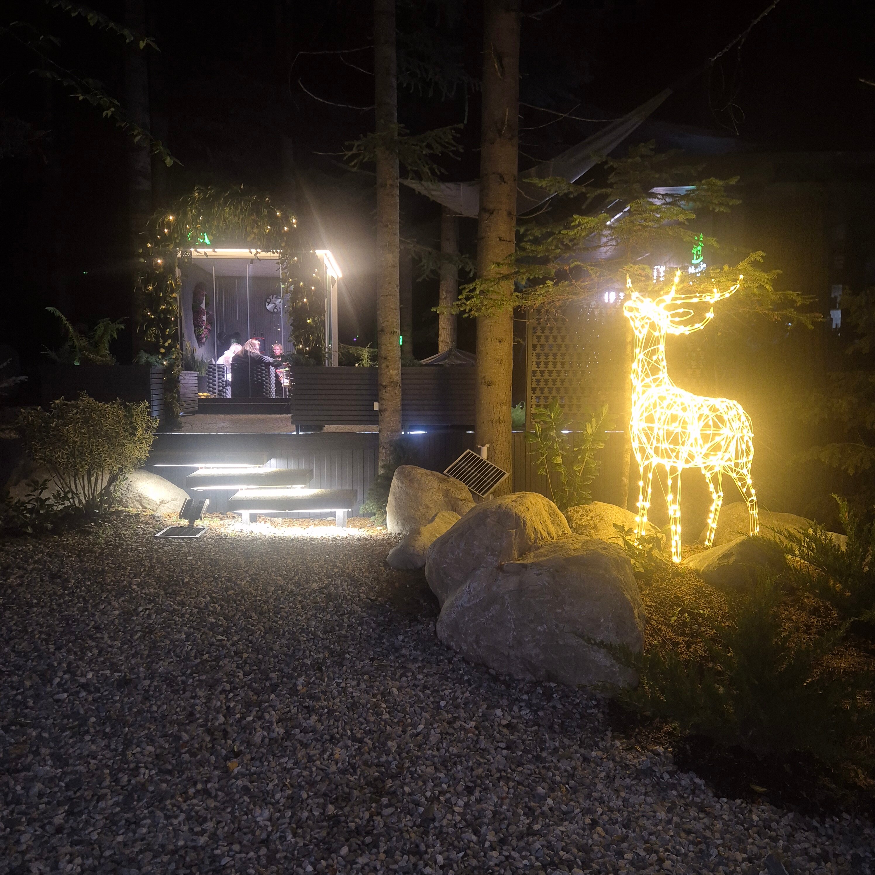 Фото Magic Forest