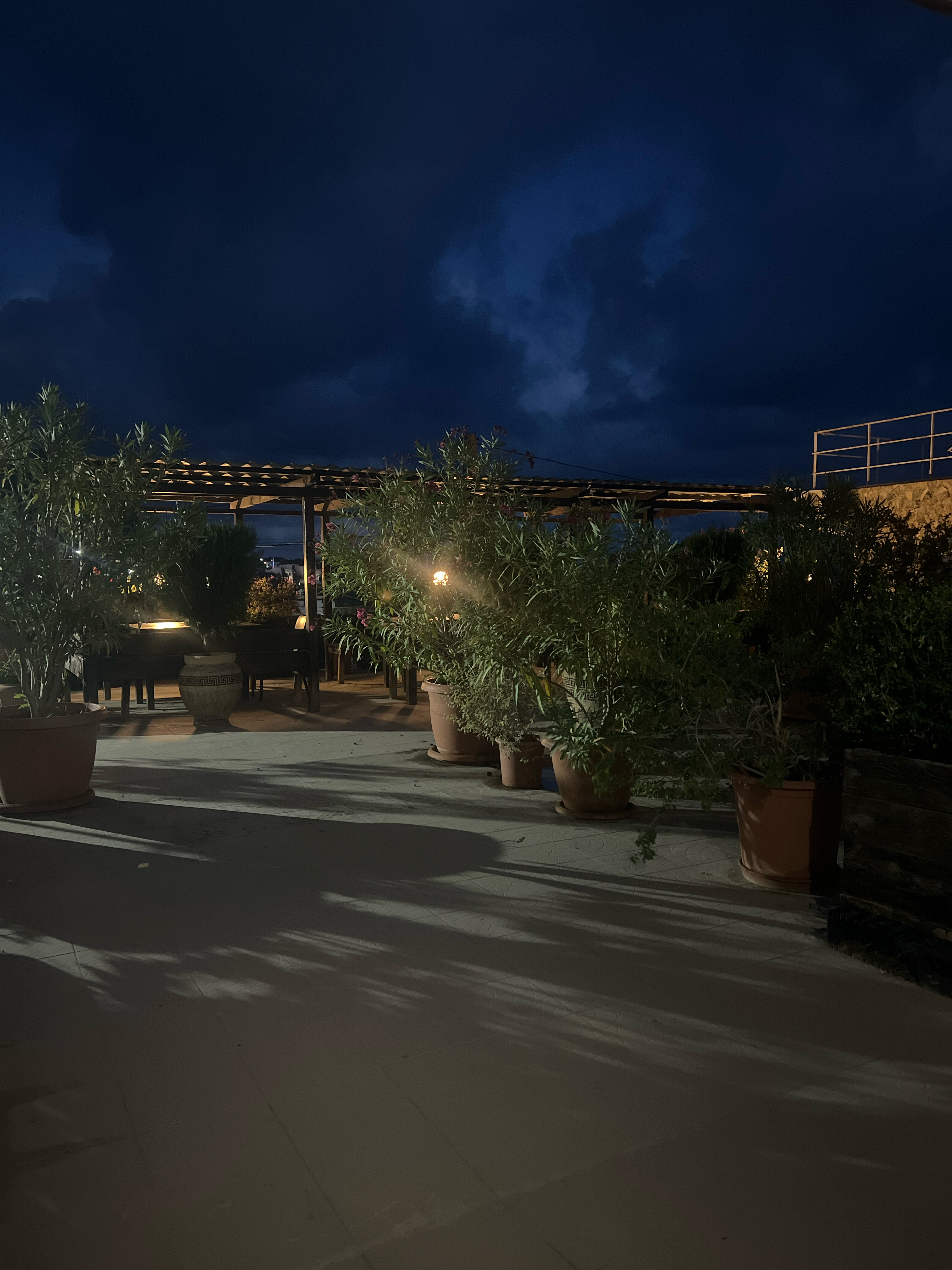 Фото Олимпия