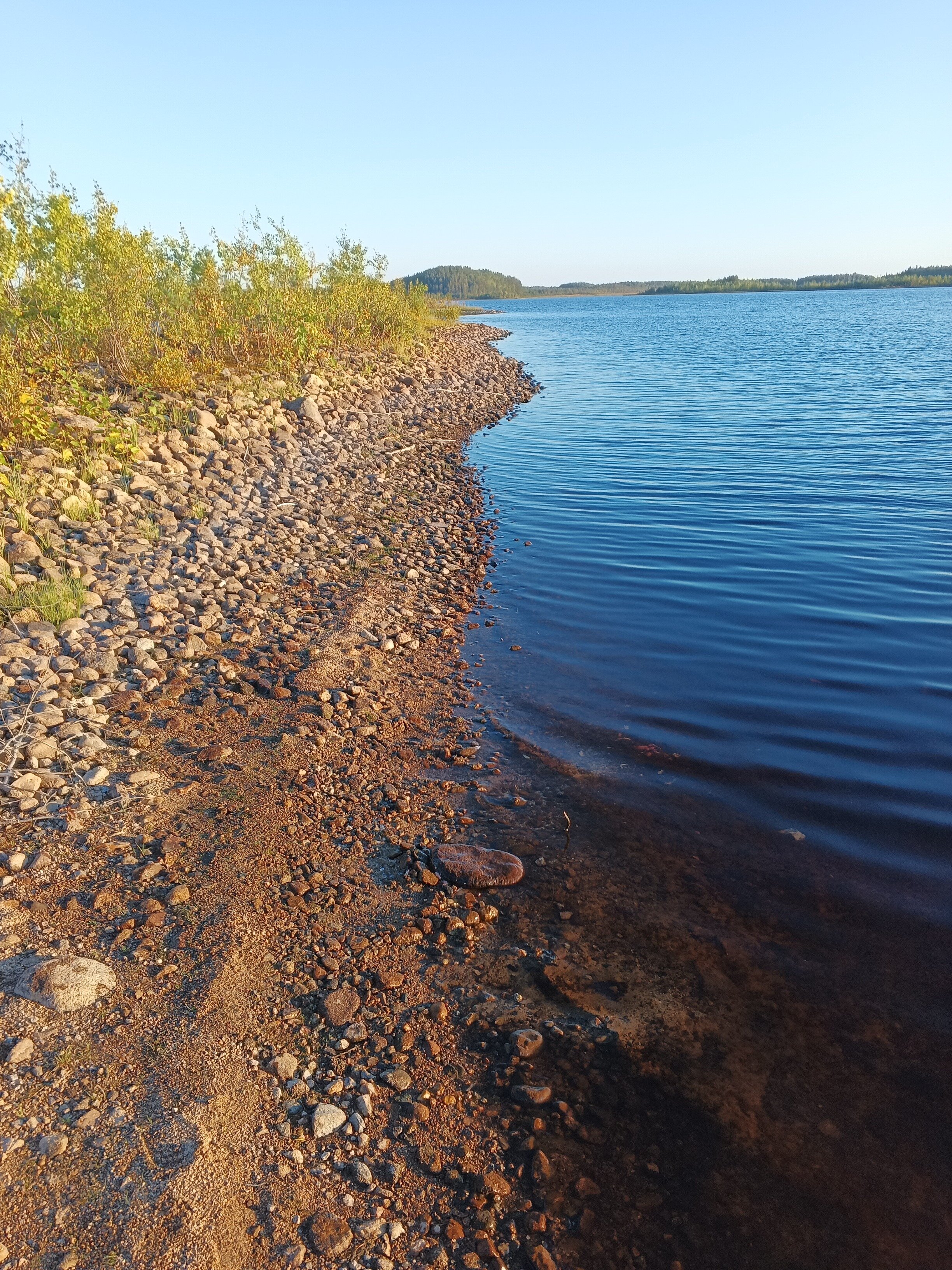 Фото Вегарус