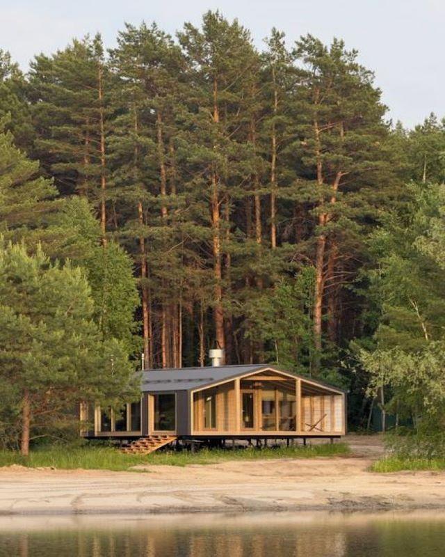 Фото Wood Wood Wood