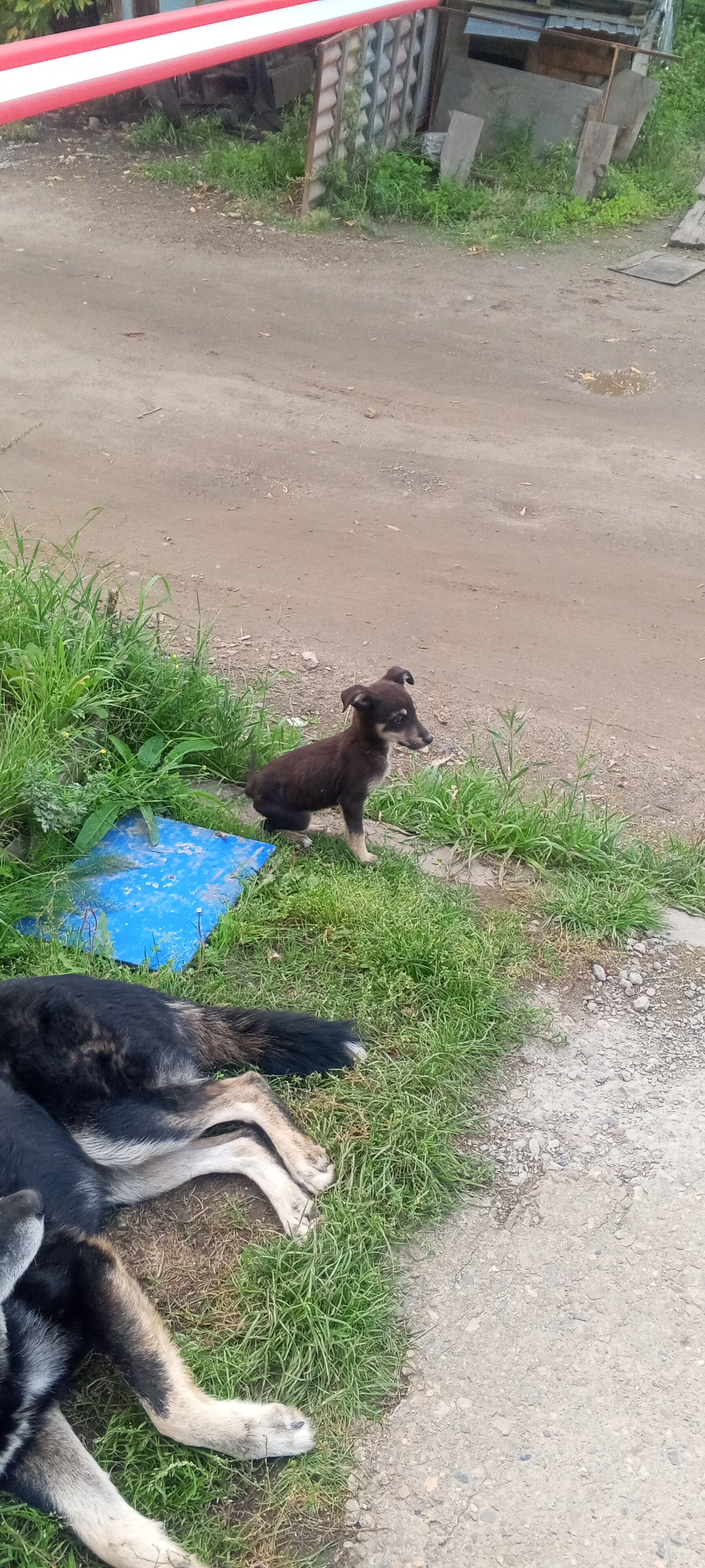 Фото Сатурн