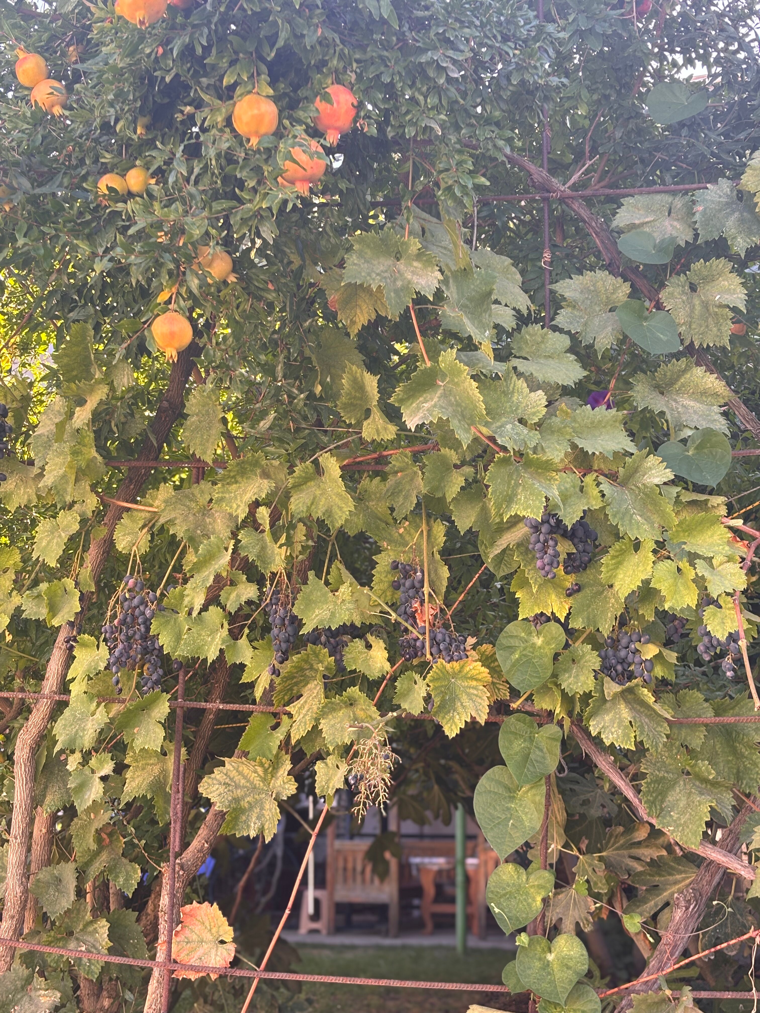 Фото Дом Гайбулло