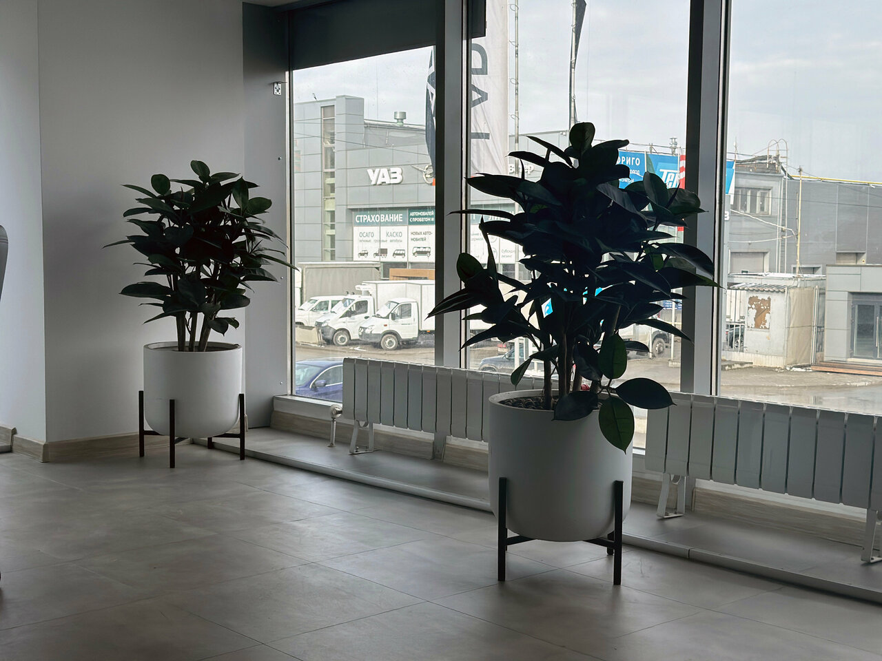 photo Tenet, Восточный Ветер