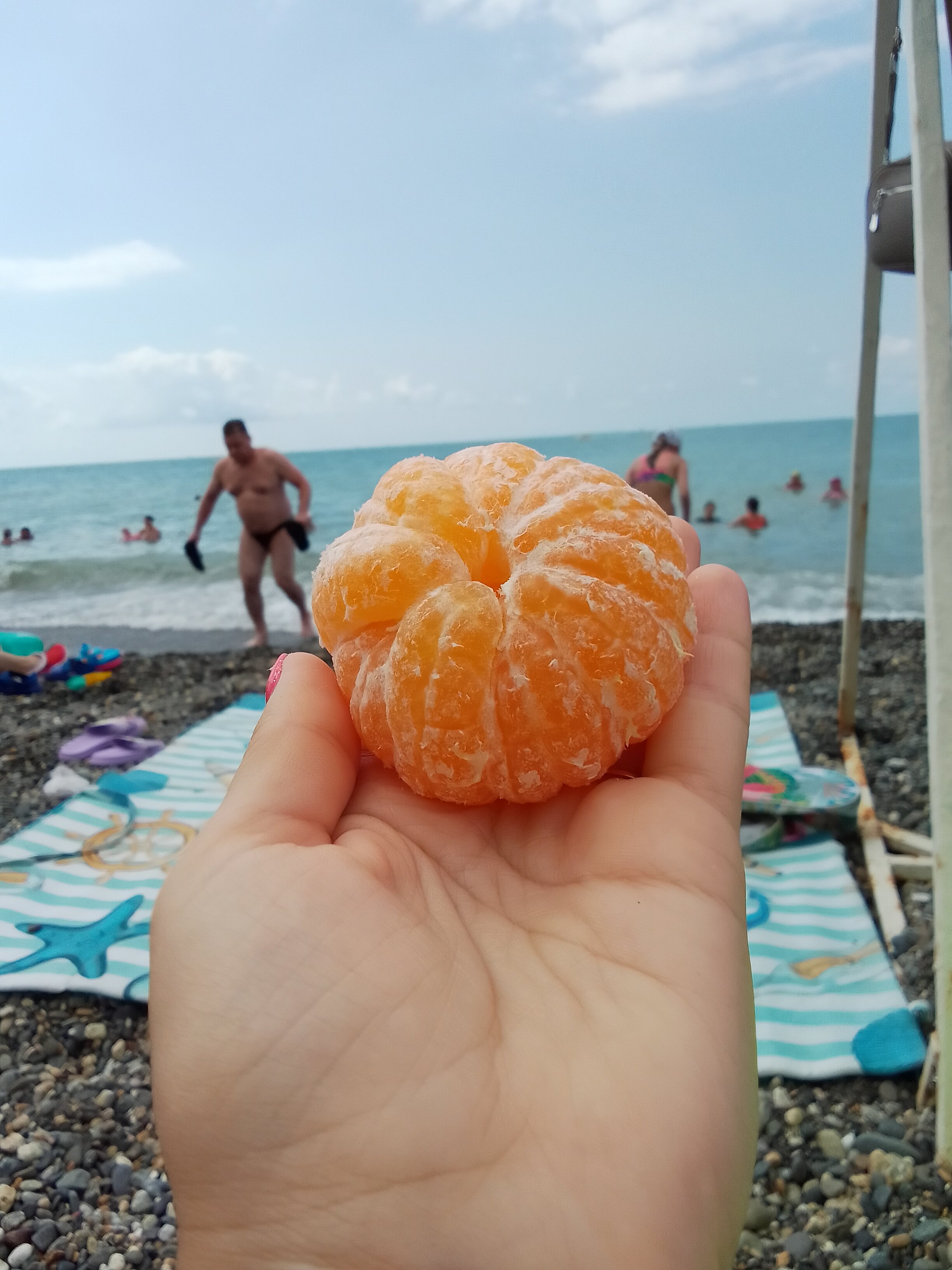Фото Стелла