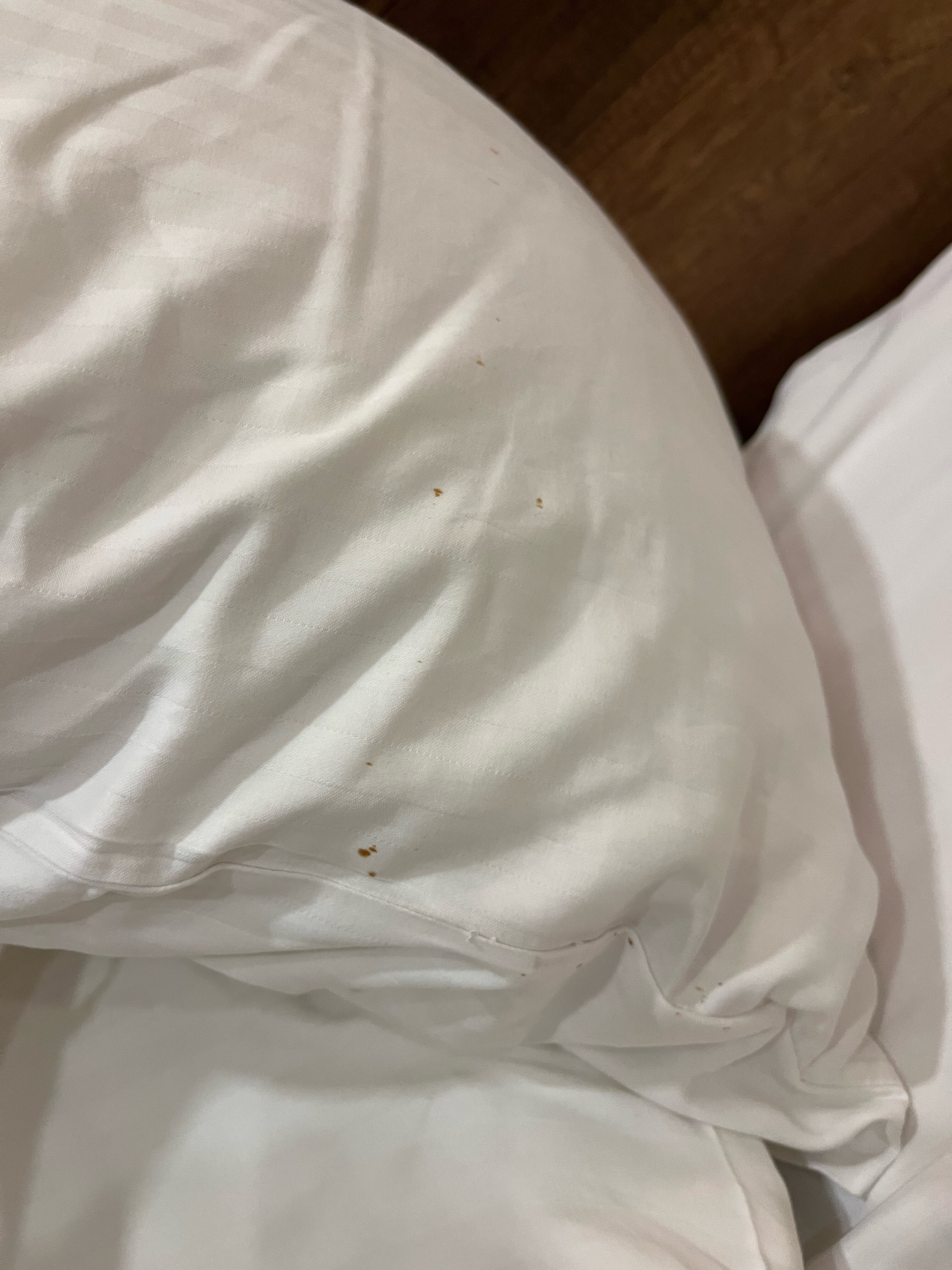 Фото Hotel Comfort