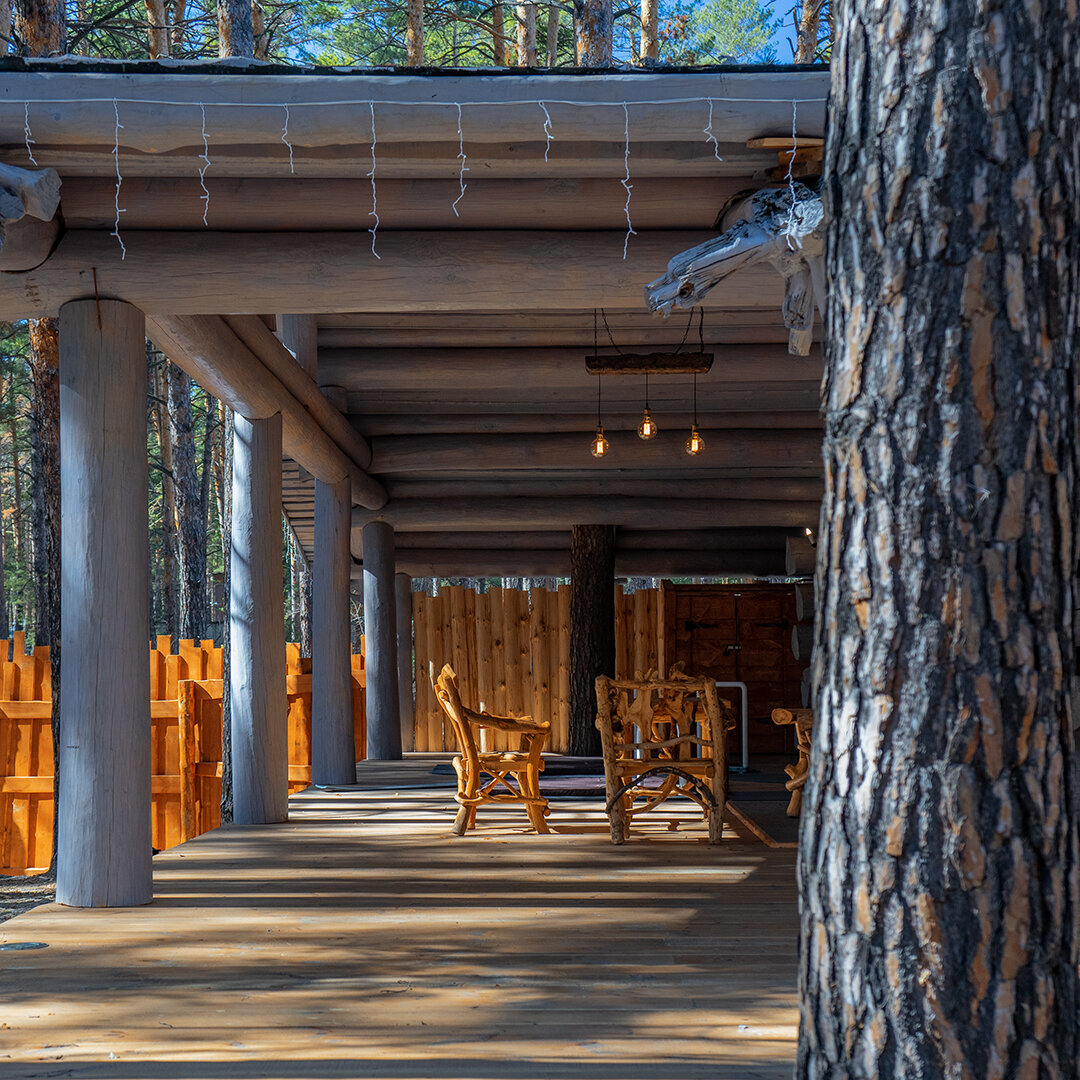 Фото Лесники