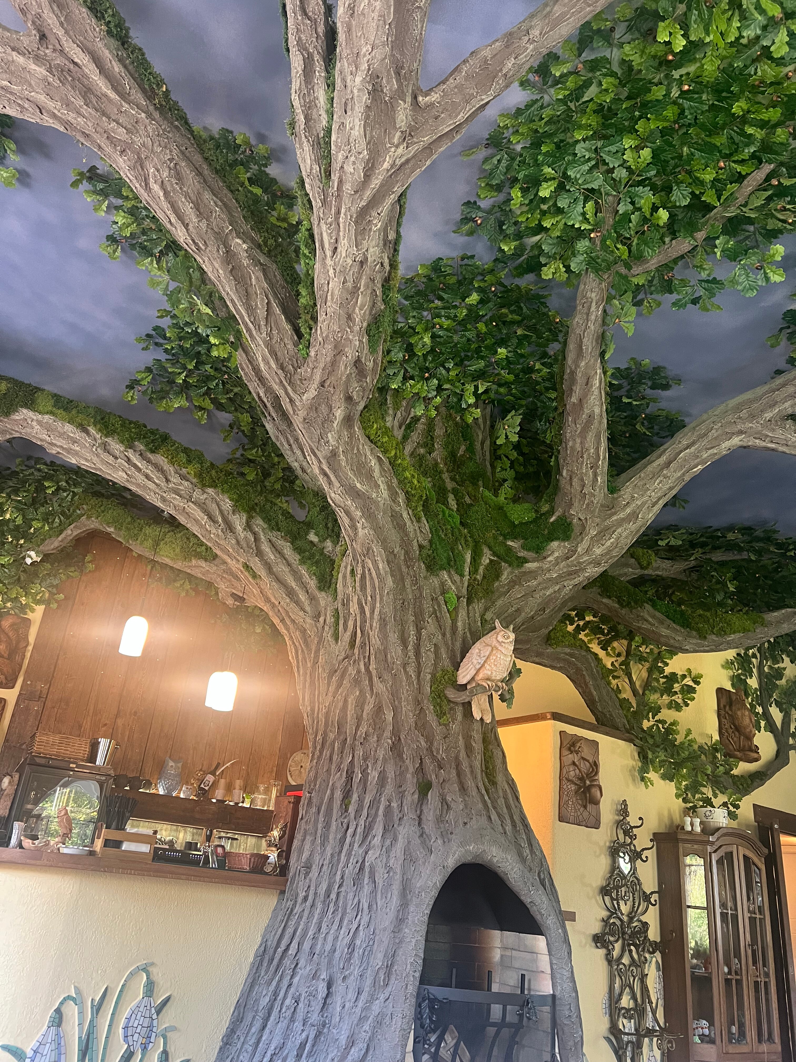 Фото Белый филин