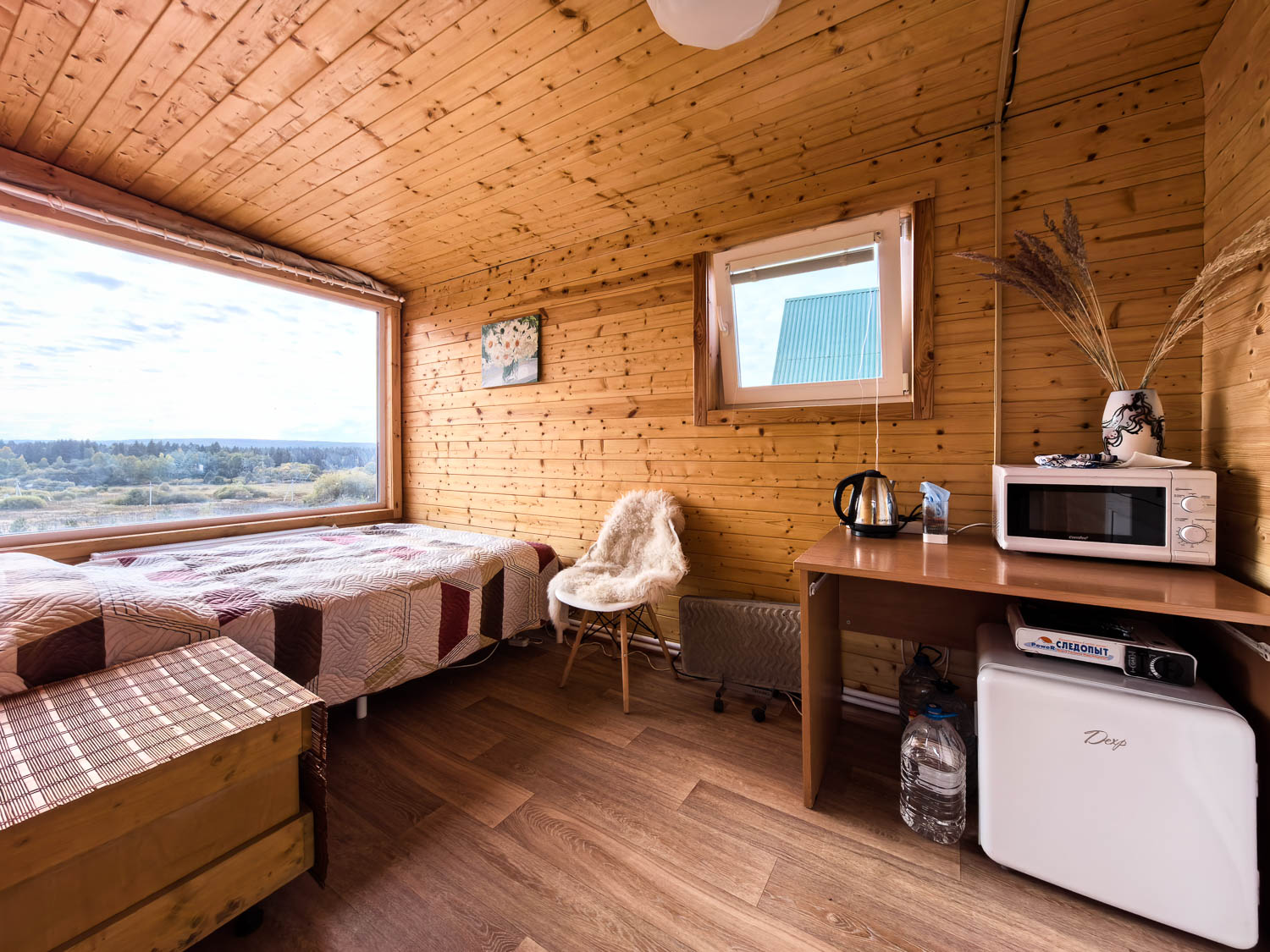 Фото Елки Иголки