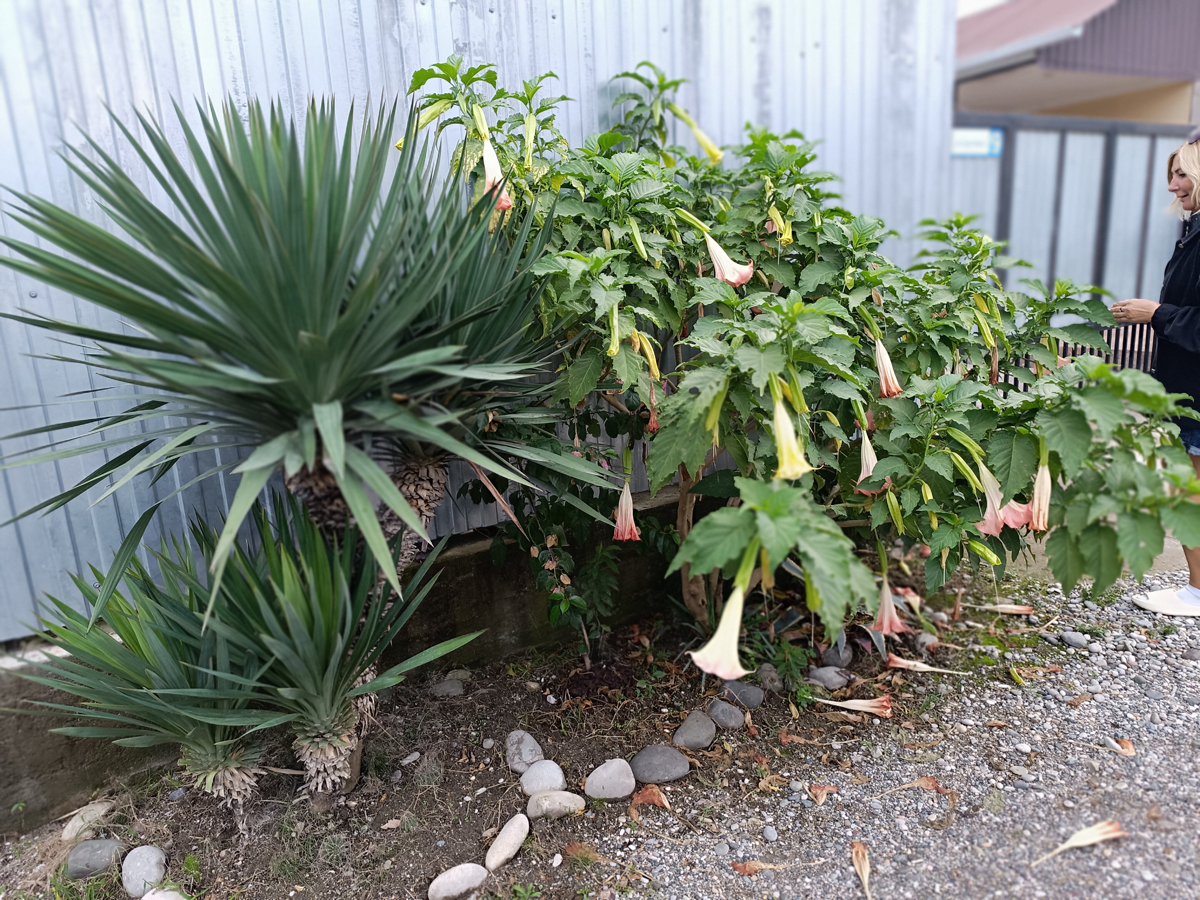 Фото у Норика и Сусанны