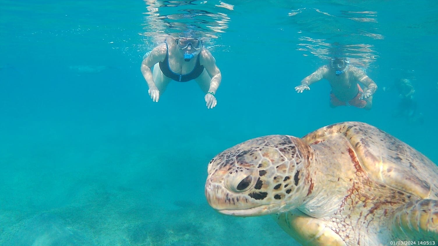 Фото The Three Corners Fayrouz Plaza Beach Resort