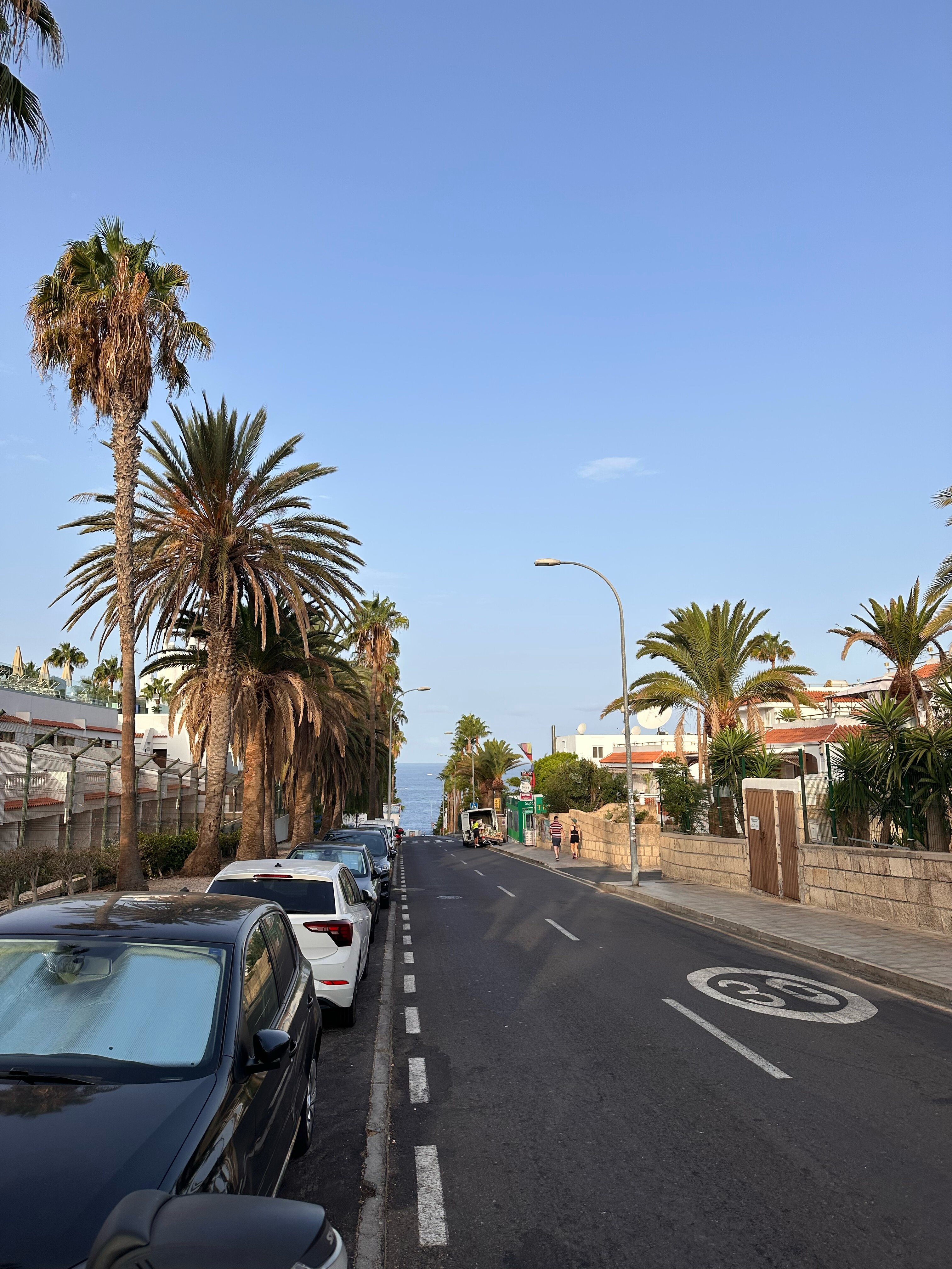 Фото Iberostar Las Dalias - All Inclusive