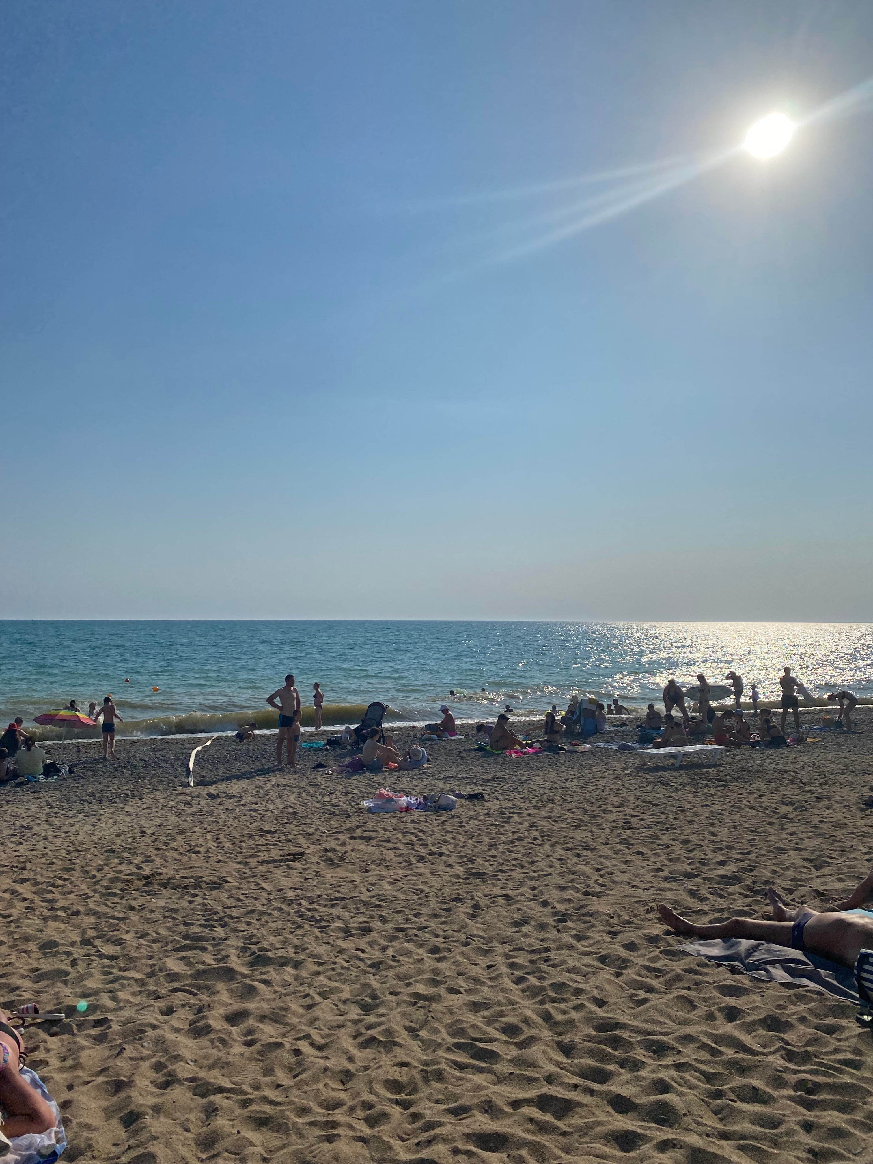 Фото Кальмар