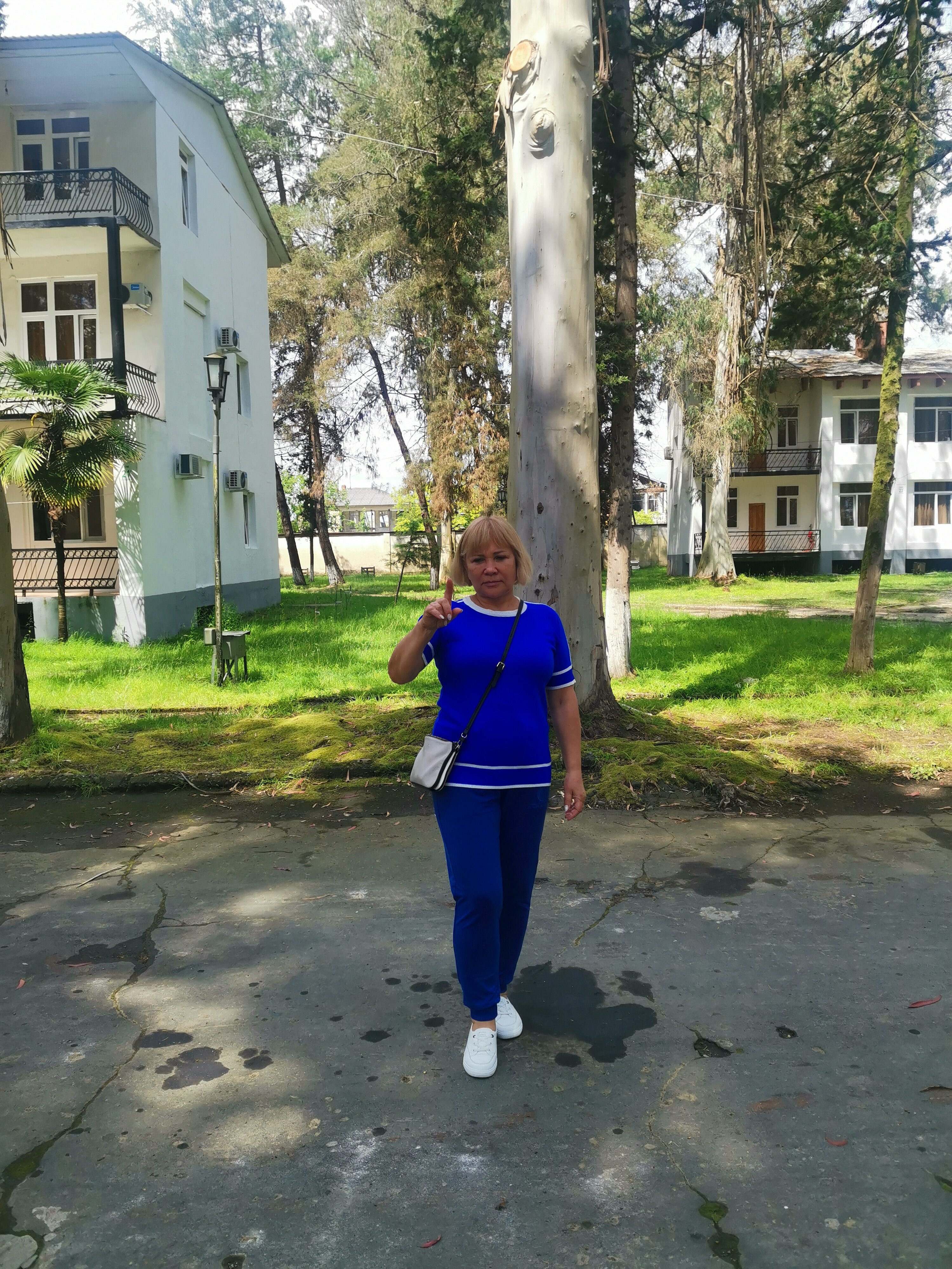 Фото Эвкалиптовая роща