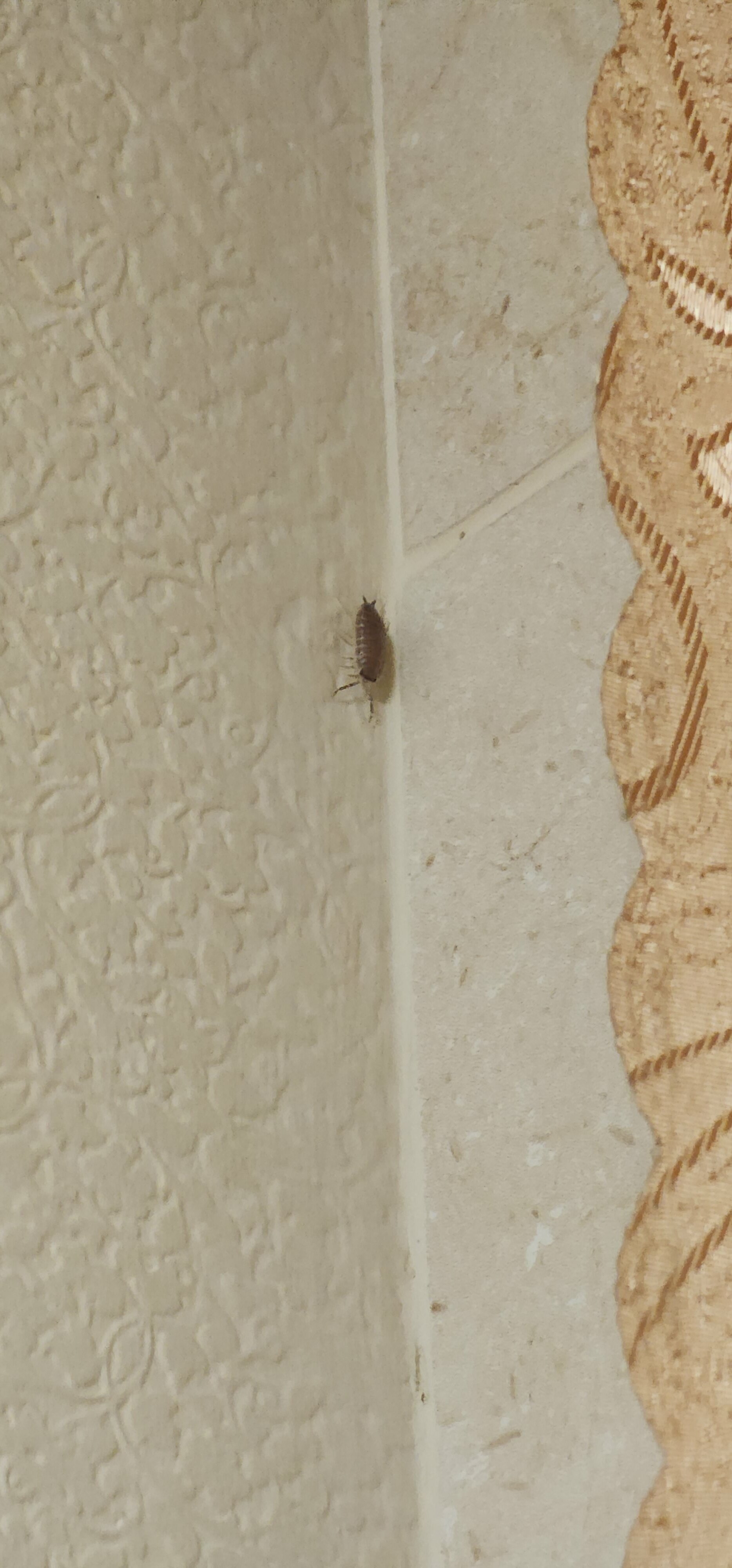 Фото Smart Hotel КДО Барнаул