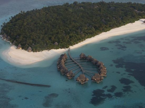 Фото Coco Palm Dhuni Kolhu