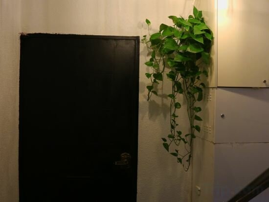 Фото Hostel Korea Original