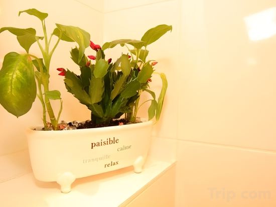 Фото Hotel Virgina