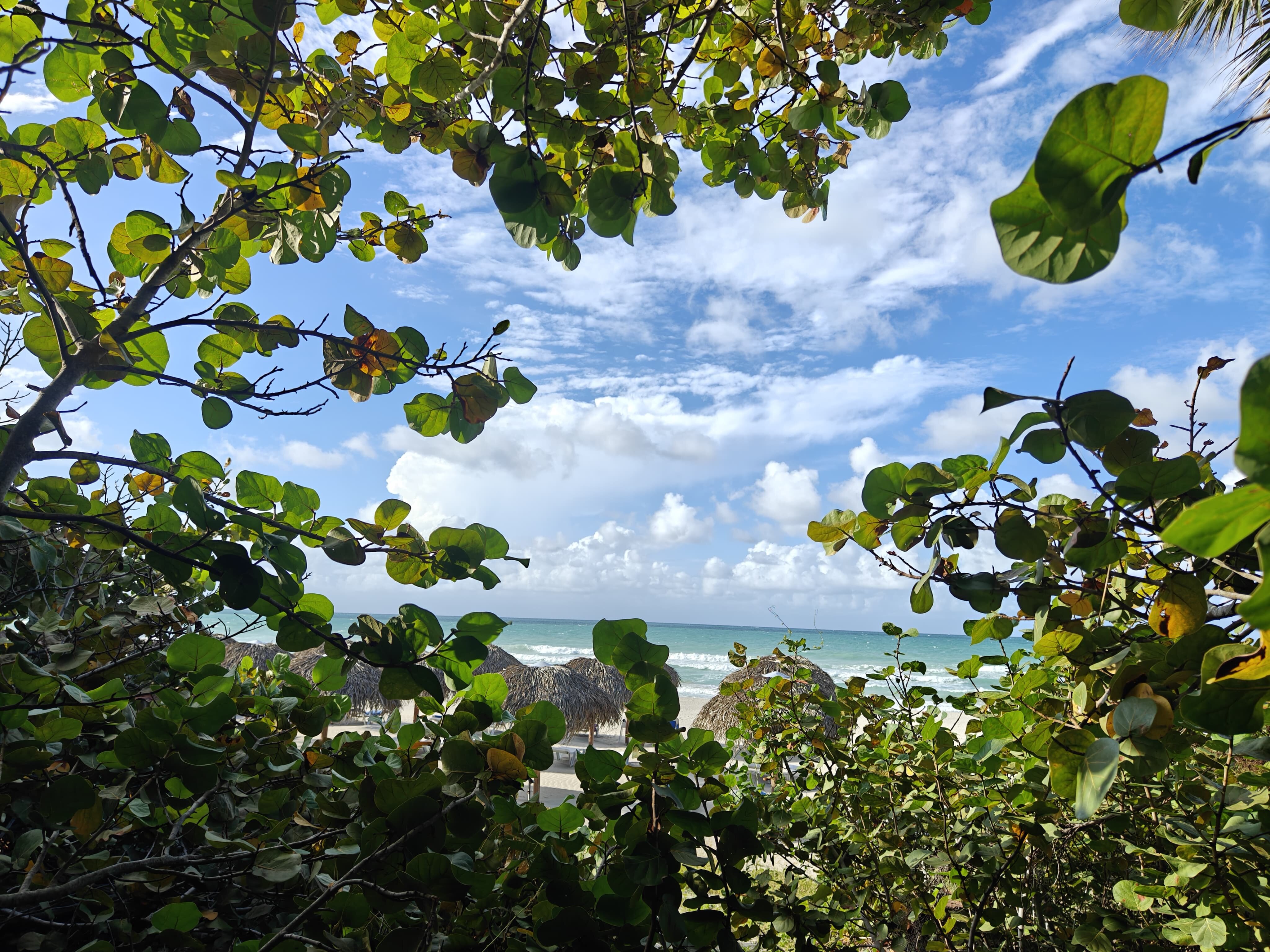 Фото Brisas del Caribe