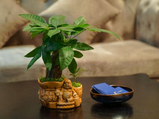 Фото Hanoi La Castela Hotel