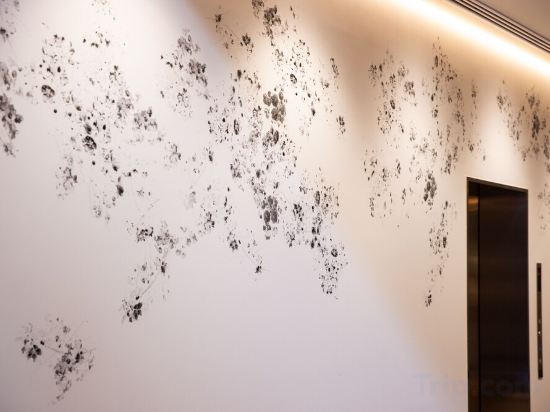 Фото Hotel Forza Kyoto Shijo Kawaramachi