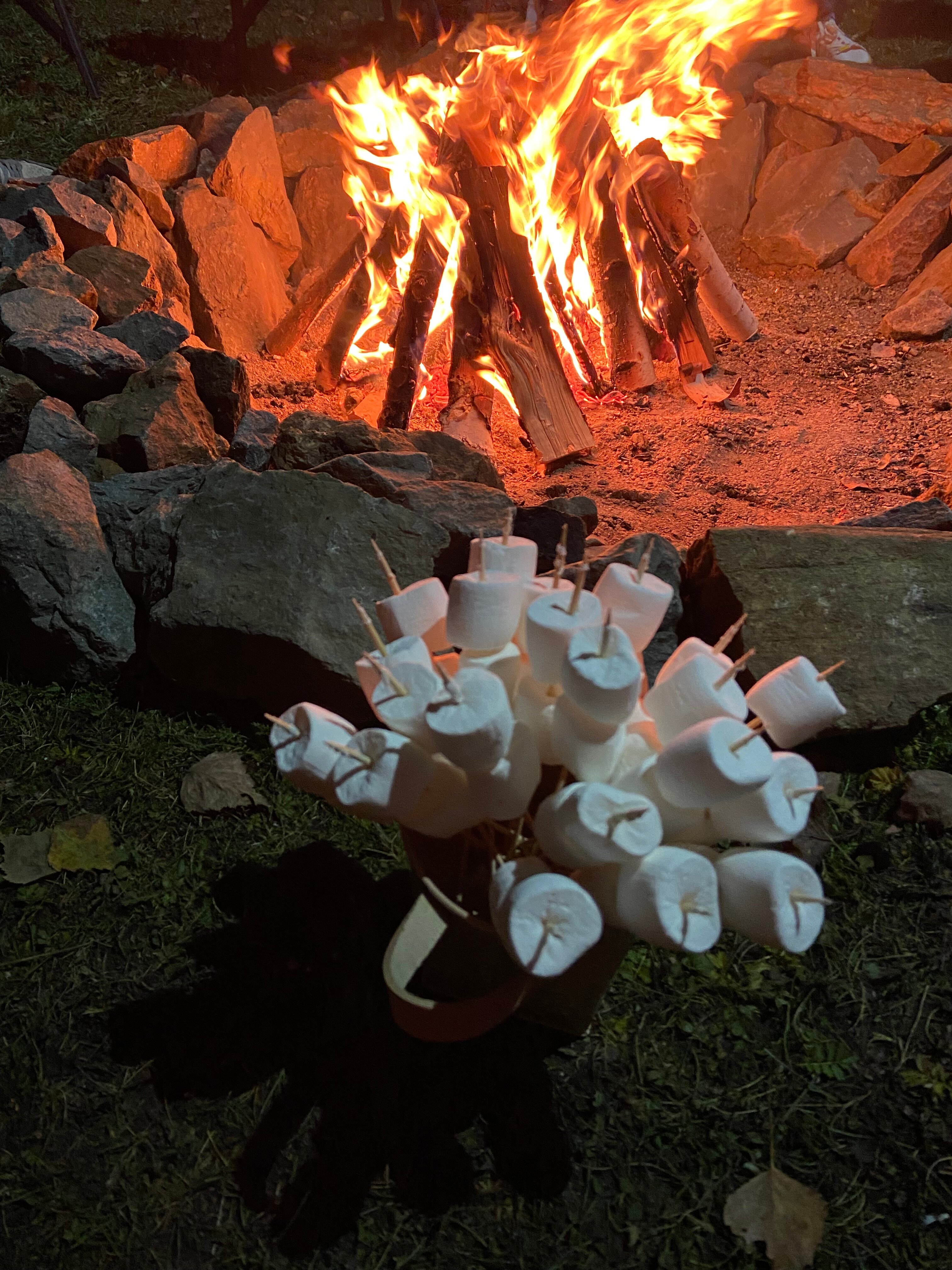 Фото Тихие зори