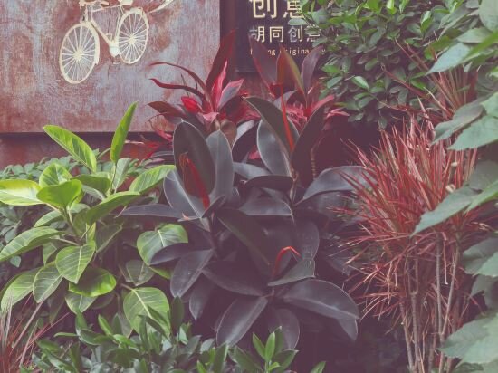 Фото Nostalgia Hotel Beijing Yonghe Lama Temple