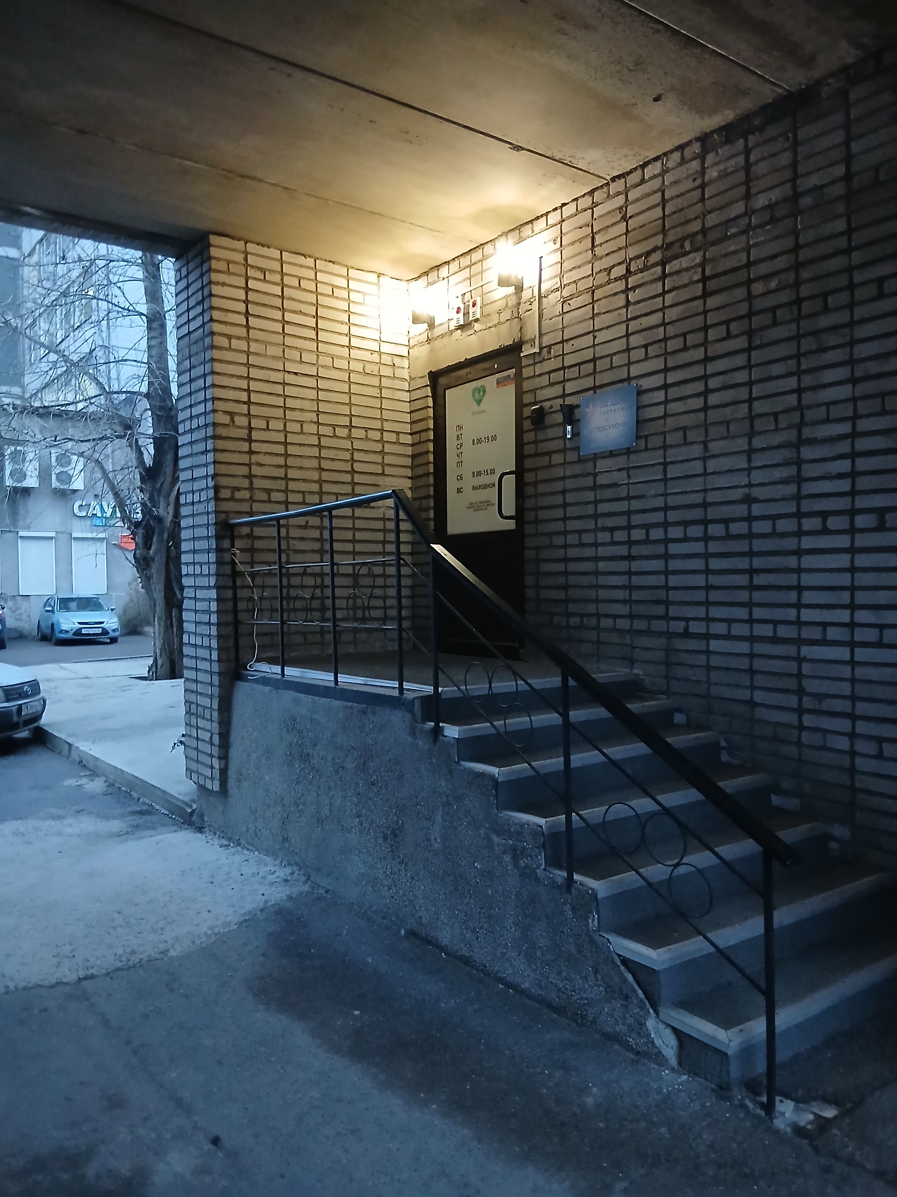 Фото Звездочка