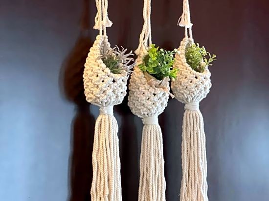 Фото The Tray Hotel