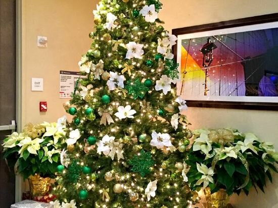 Фото Sheraton Brooklyn New York Hotel