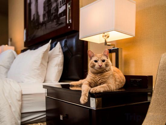 Фото The Algonquin Hotel Times Square, Autograph Collection