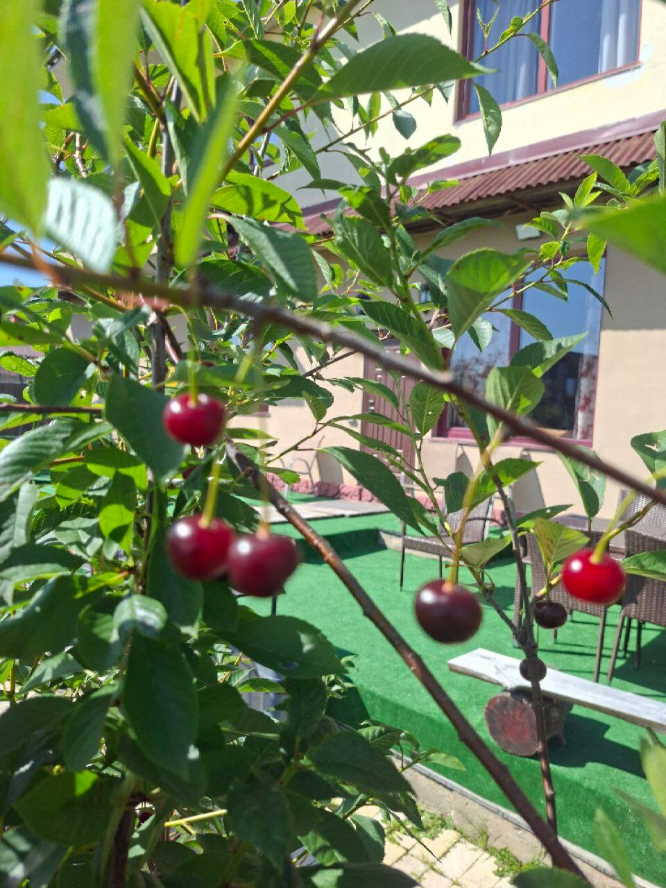 Фото ДеревняЛевково.рф