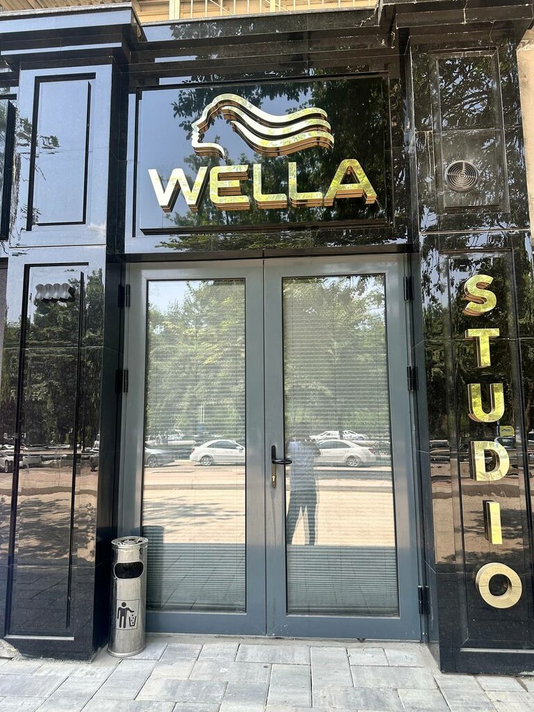 GPS equipment Gabrini Wella, Tashkent, photo