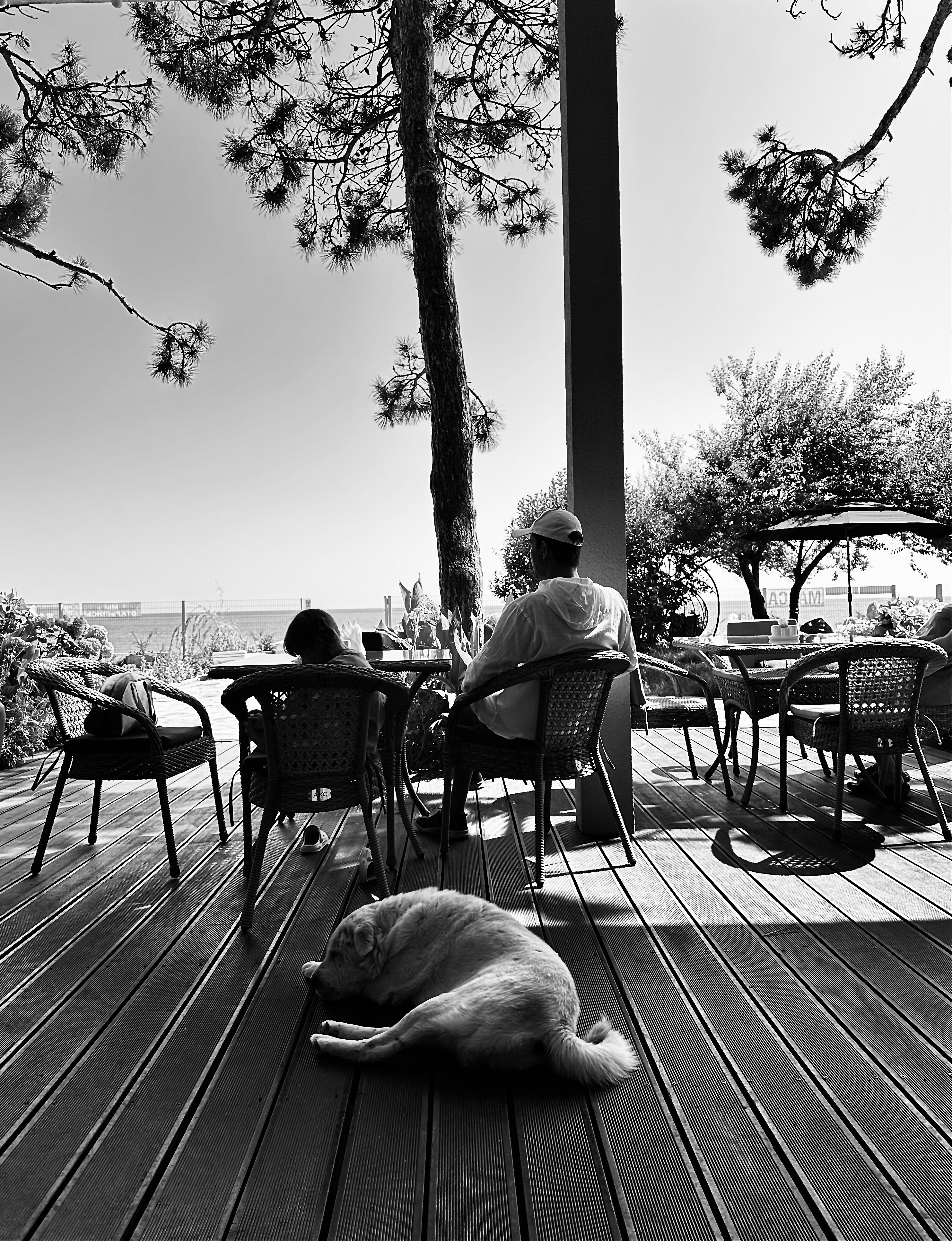 Фото Базальт