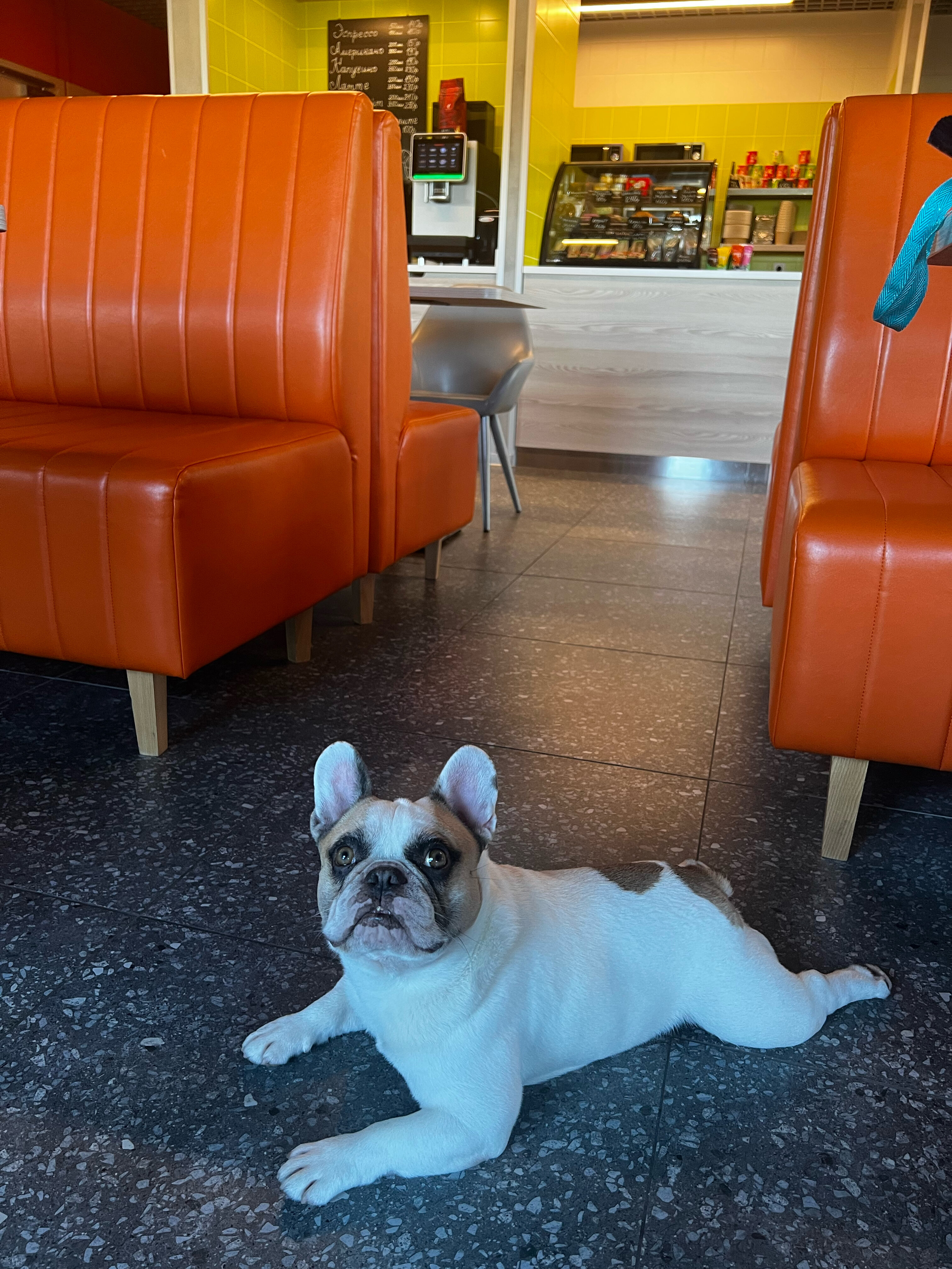 Фото 3А Шахты М4