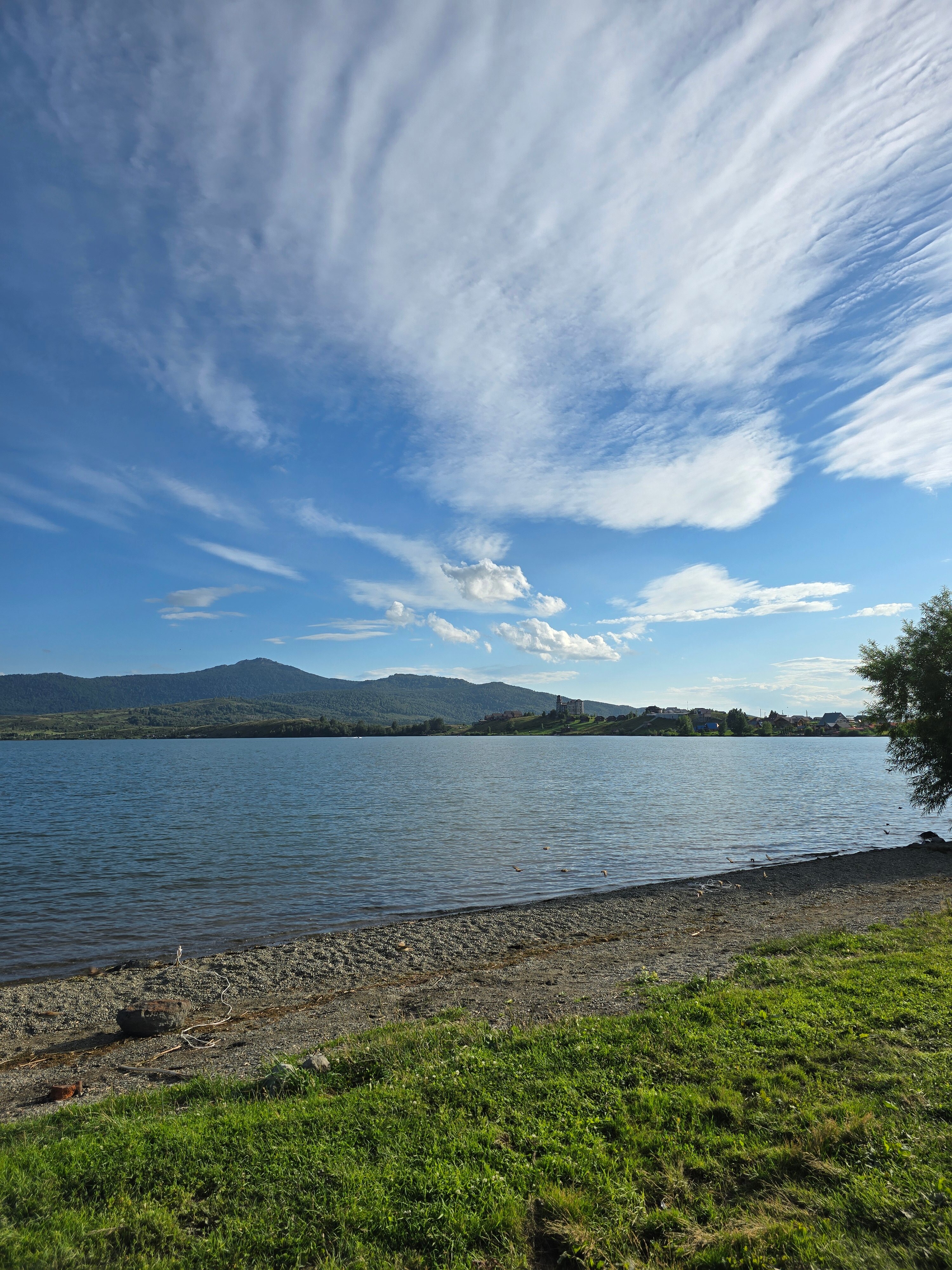 Фото Медная Сова