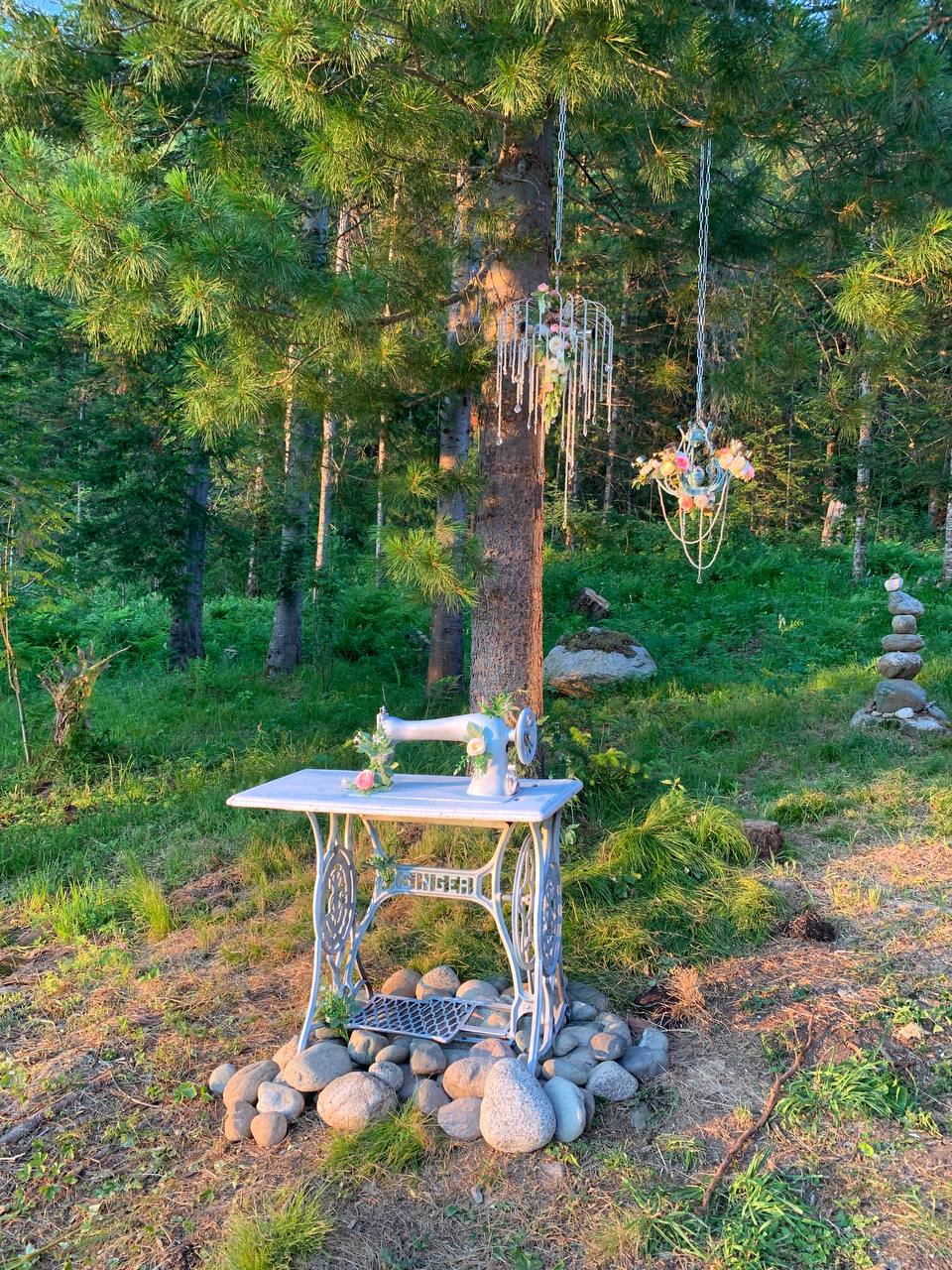 Фото У Петровича