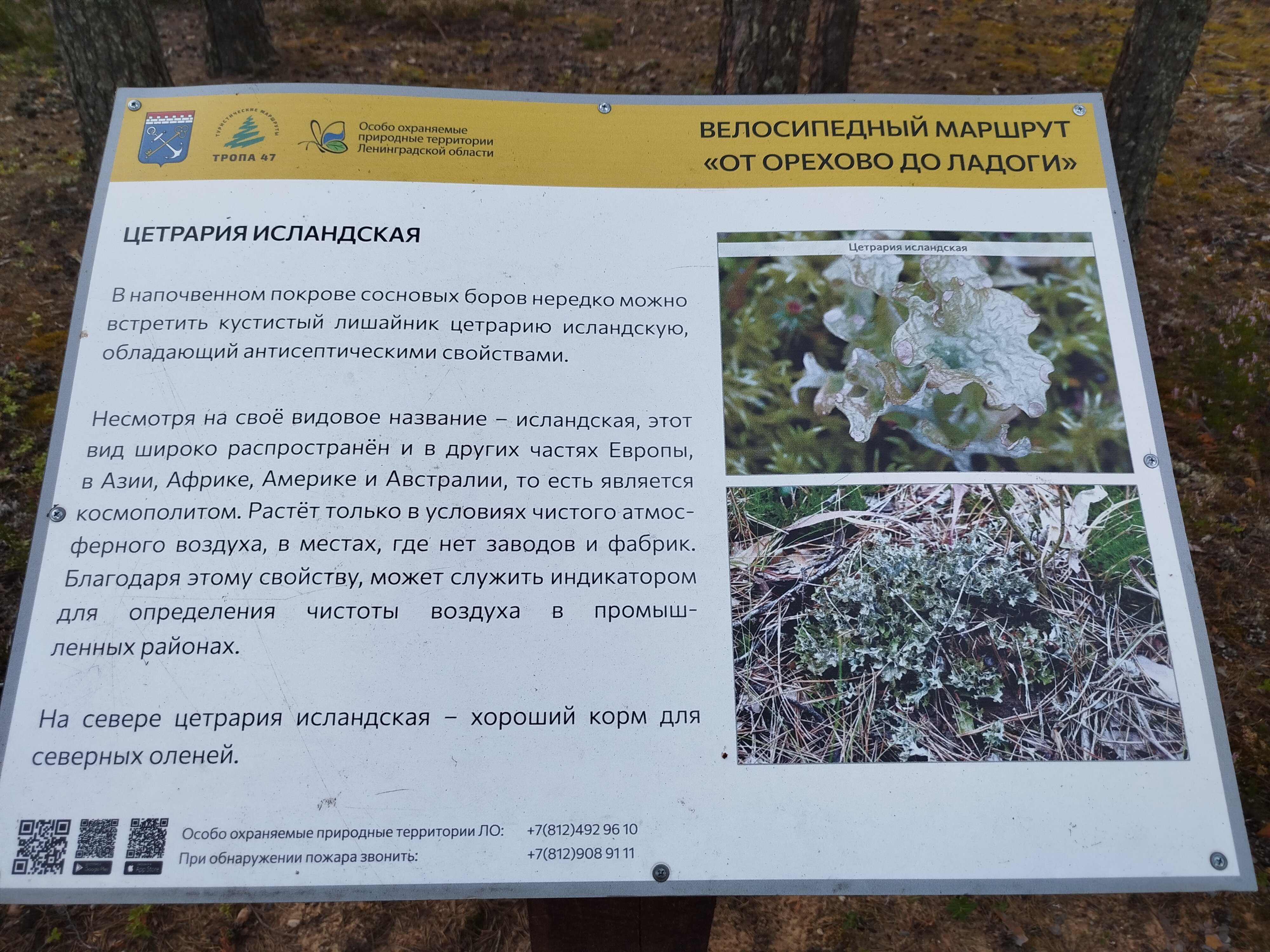 Фото ЕдунеЕду