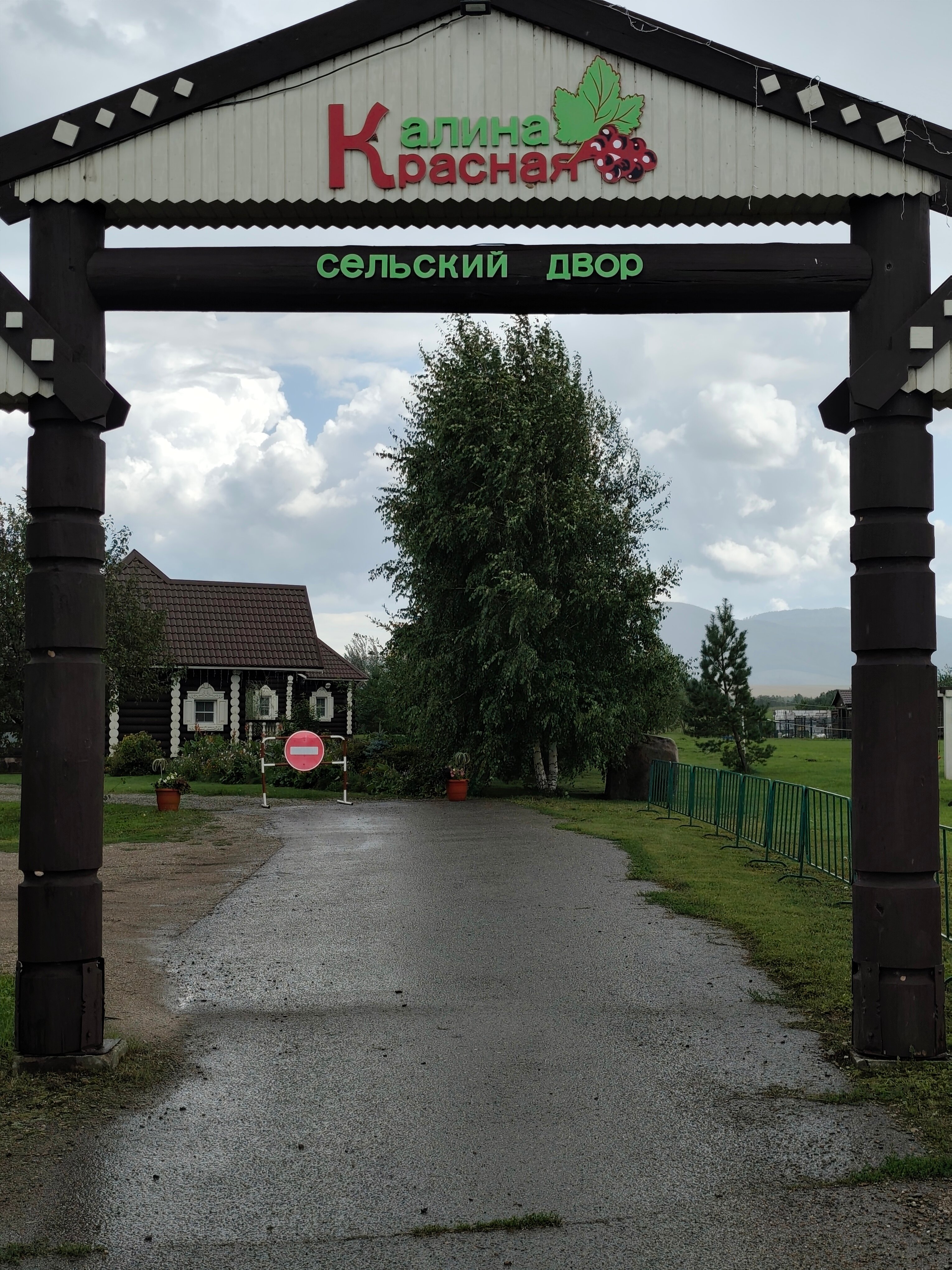 Фото Калина красная